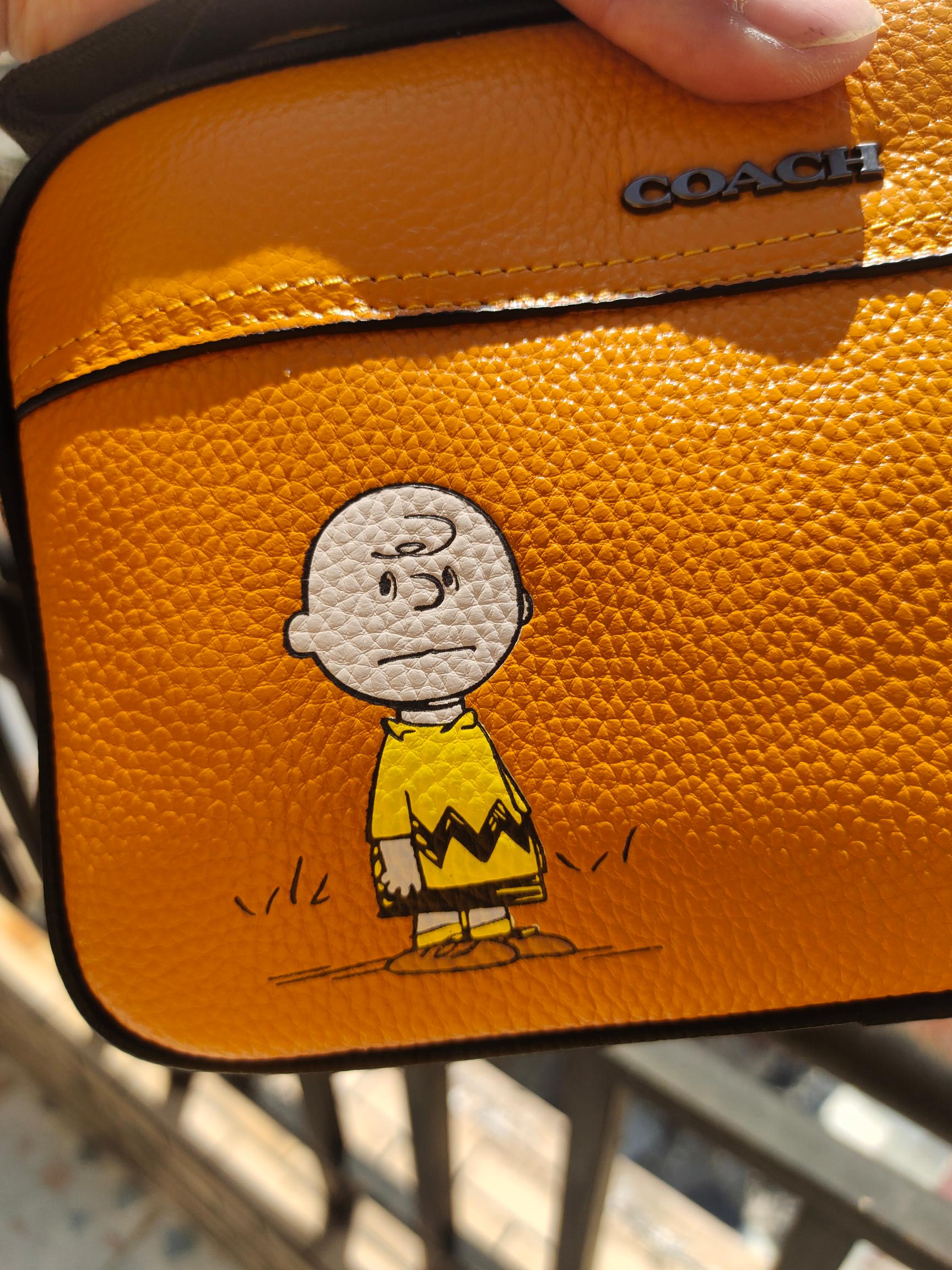 LuxluxHouse Best Quality Bags Coach Men