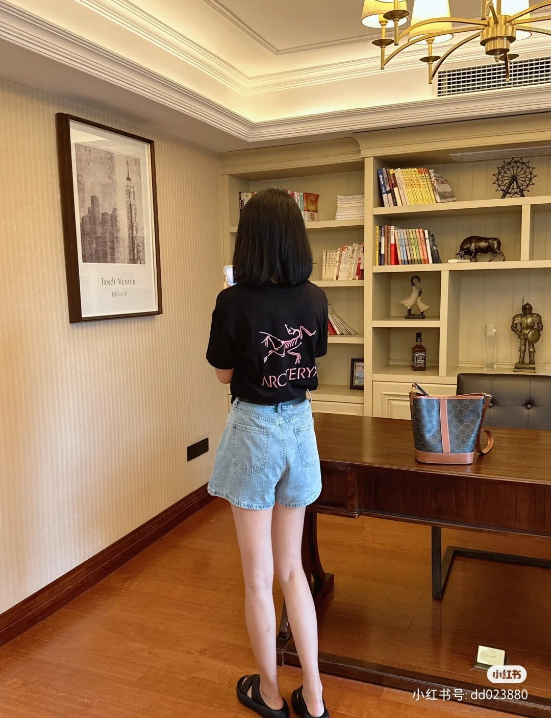 LuxluxHouse Best Quality Clothes T-shirt Arcteryx