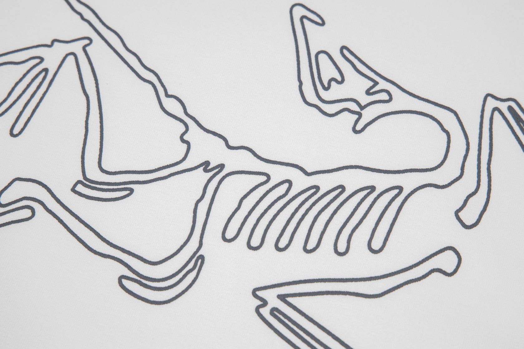 LuxluxHouse Best Quality Clothes T-shirt Arcteryx