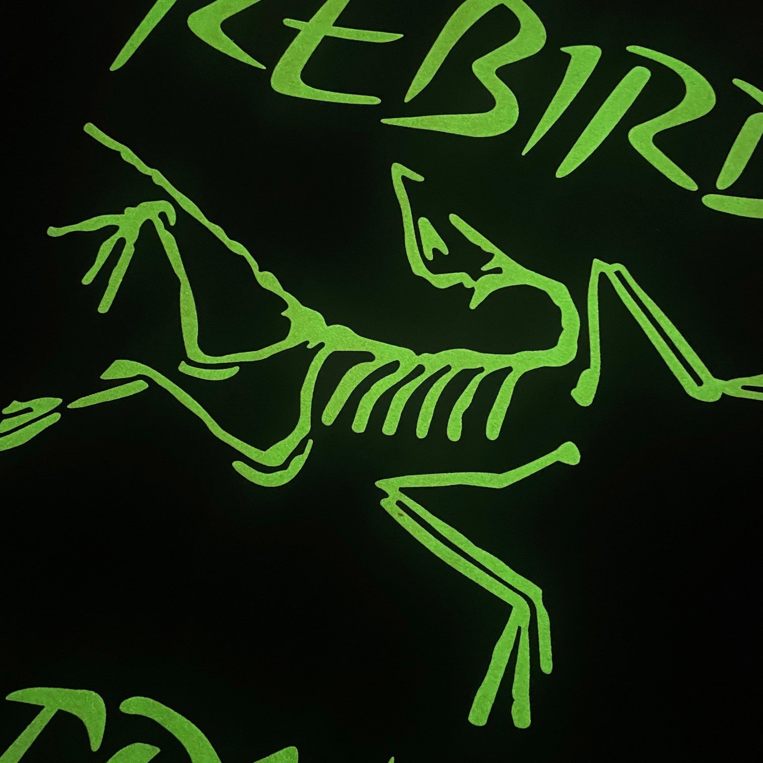 LuxluxHouse Best Quality Clothes T-shirt Arcteryx