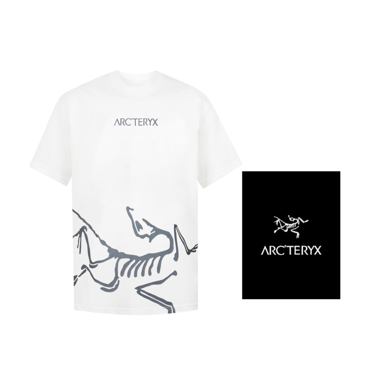 LuxluxHouse Best Quality Clothes T-shirt Arcteryx