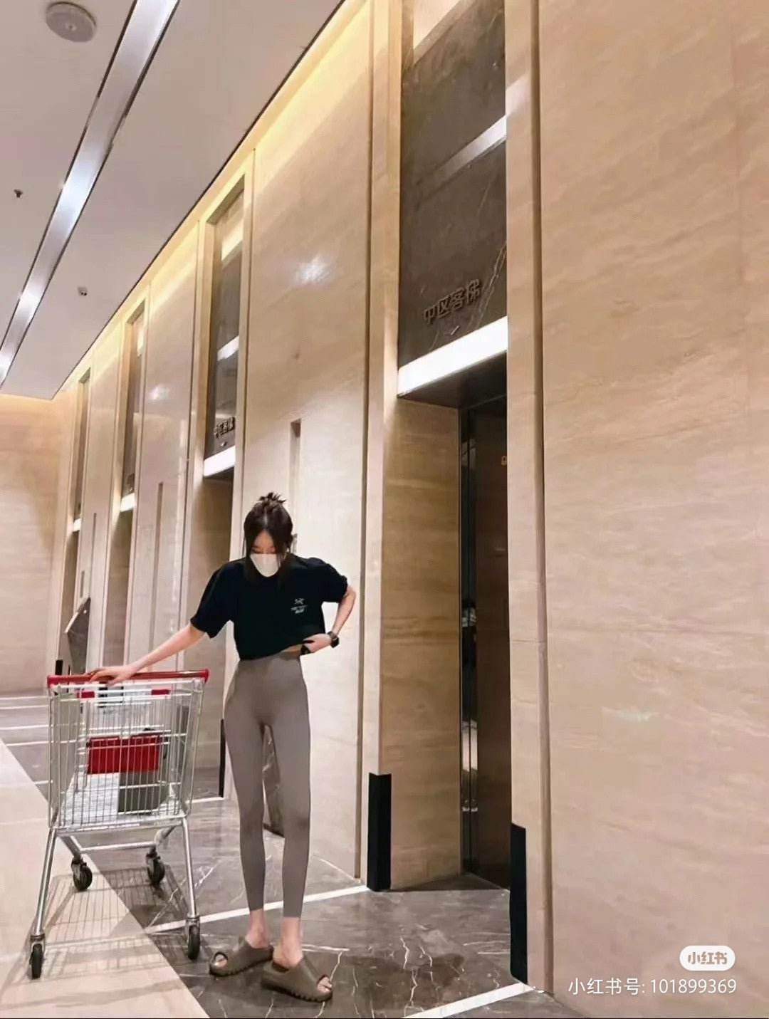 LuxluxHouse Best Quality Clothes T-shirt Arcteryx