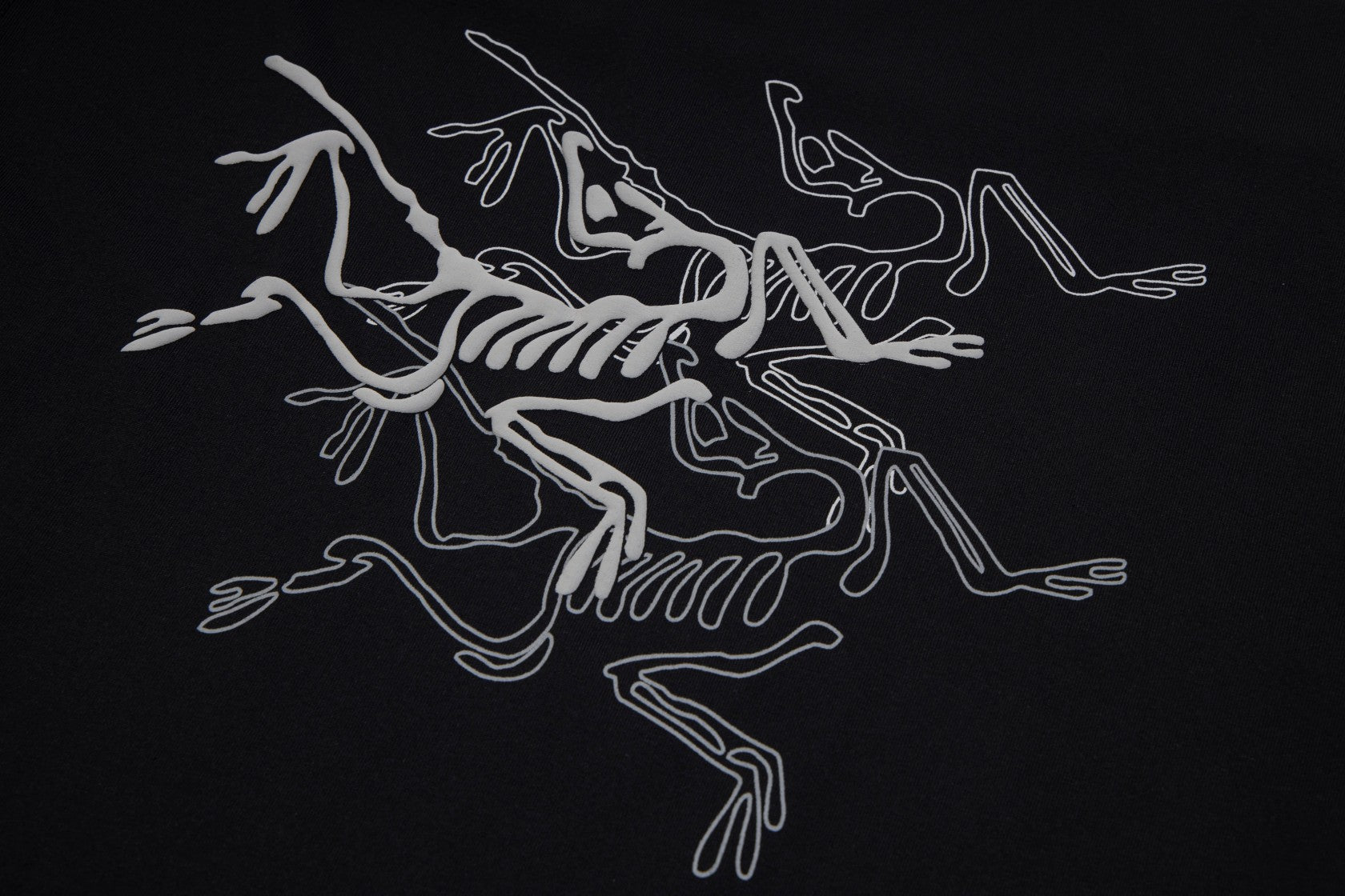 LuxluxHouse Best Quality Clothes T-shirt Arcteryx