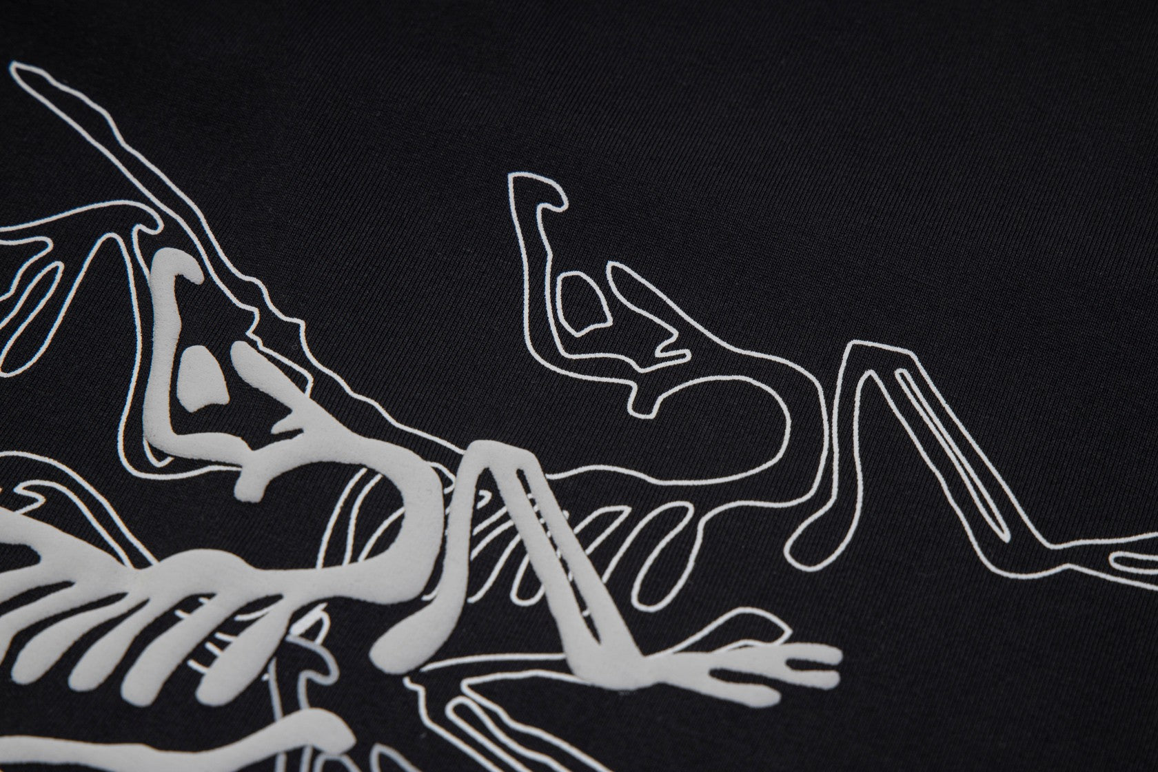 LuxluxHouse Best Quality Clothes T-shirt Arcteryx