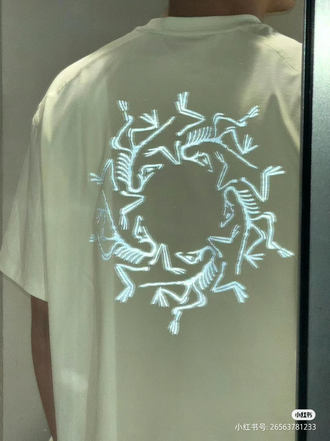 LuxluxHouse Best Quality Clothes T-shirt Arcteryx