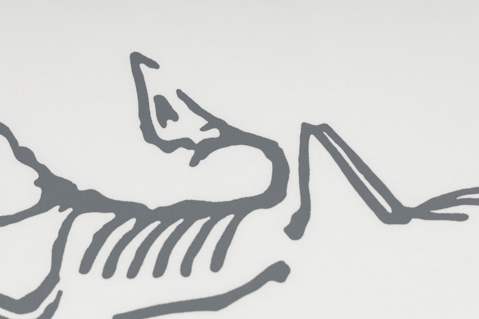 LuxluxHouse Best Quality Clothes T-shirt Arcteryx