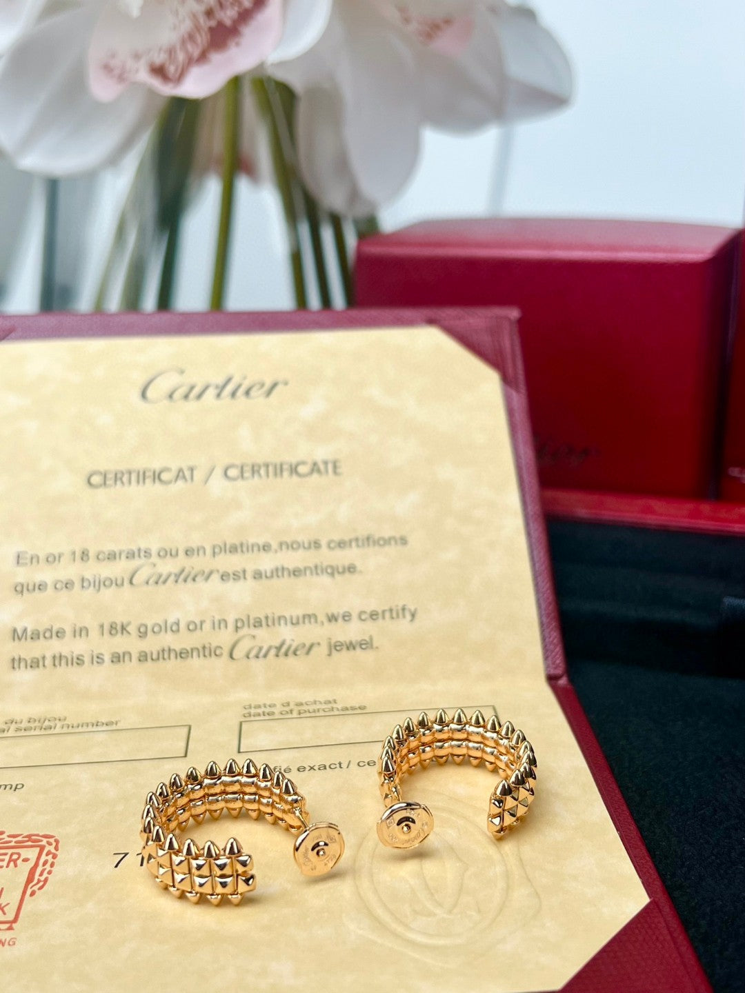 LuxluxHouse Best Quality Accessories Earrings Earrings Earrings Cartier