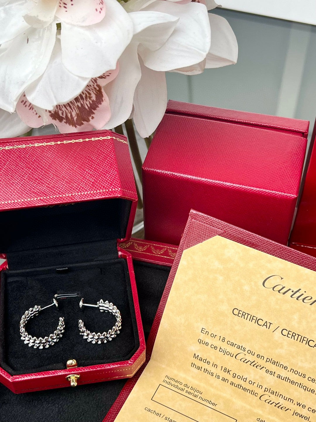 LuxluxHouse Best Quality Accessories Earrings Earrings Earrings Cartier