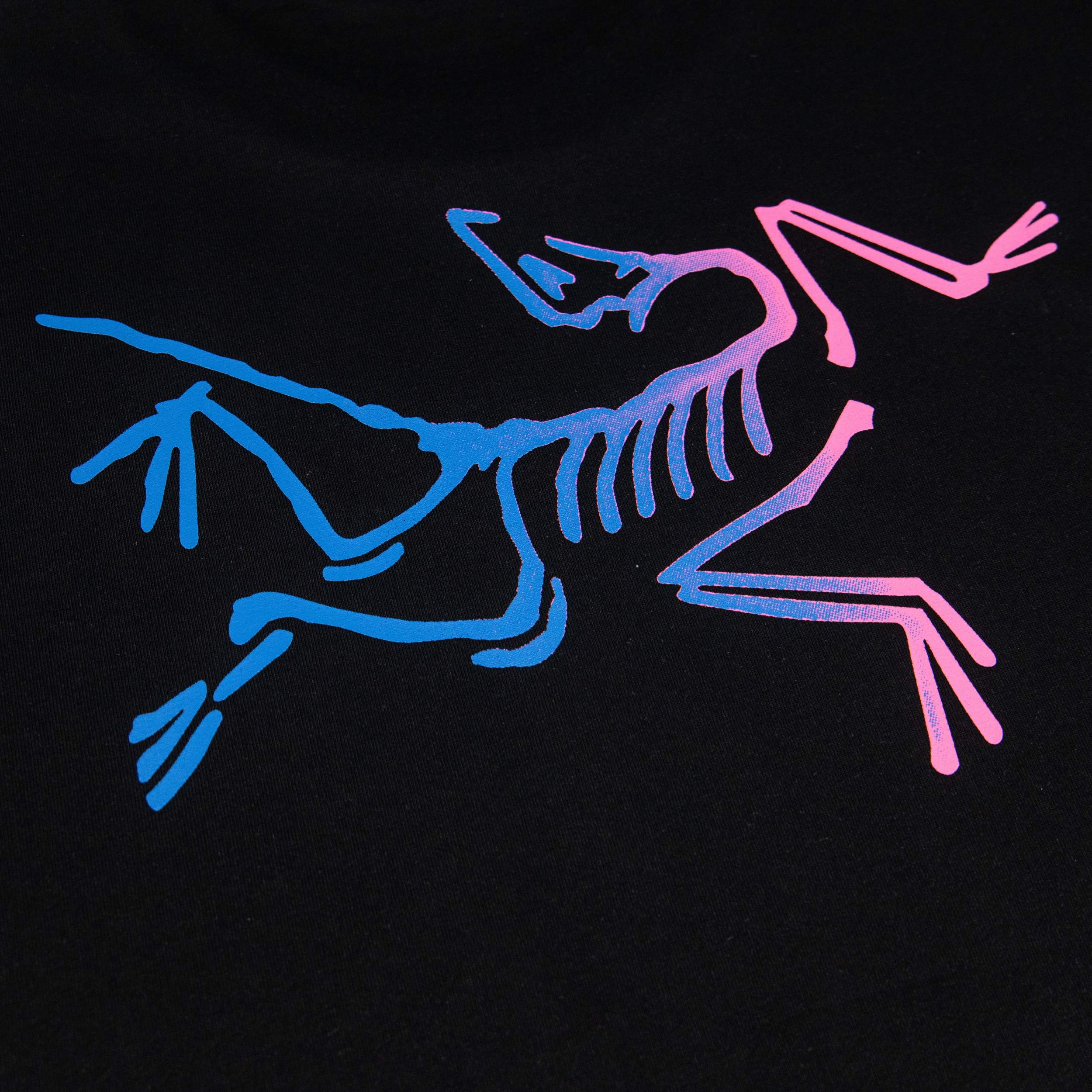 LuxluxHouse Best Quality Clothes T-shirt Arcteryx