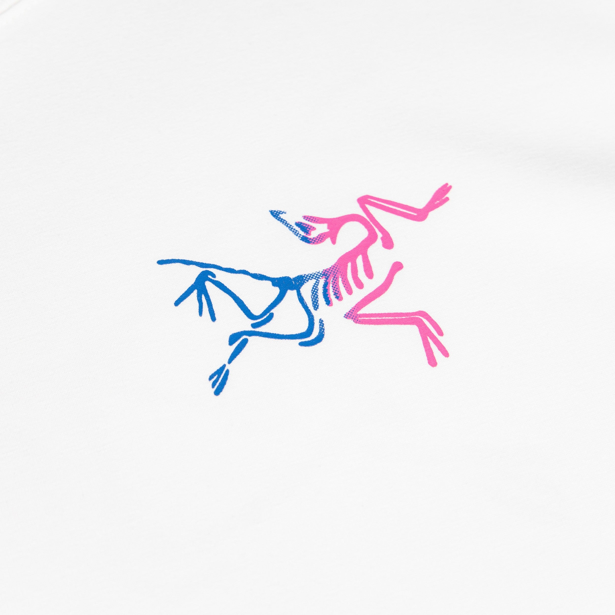 LuxluxHouse Best Quality Clothes T-shirt Arcteryx