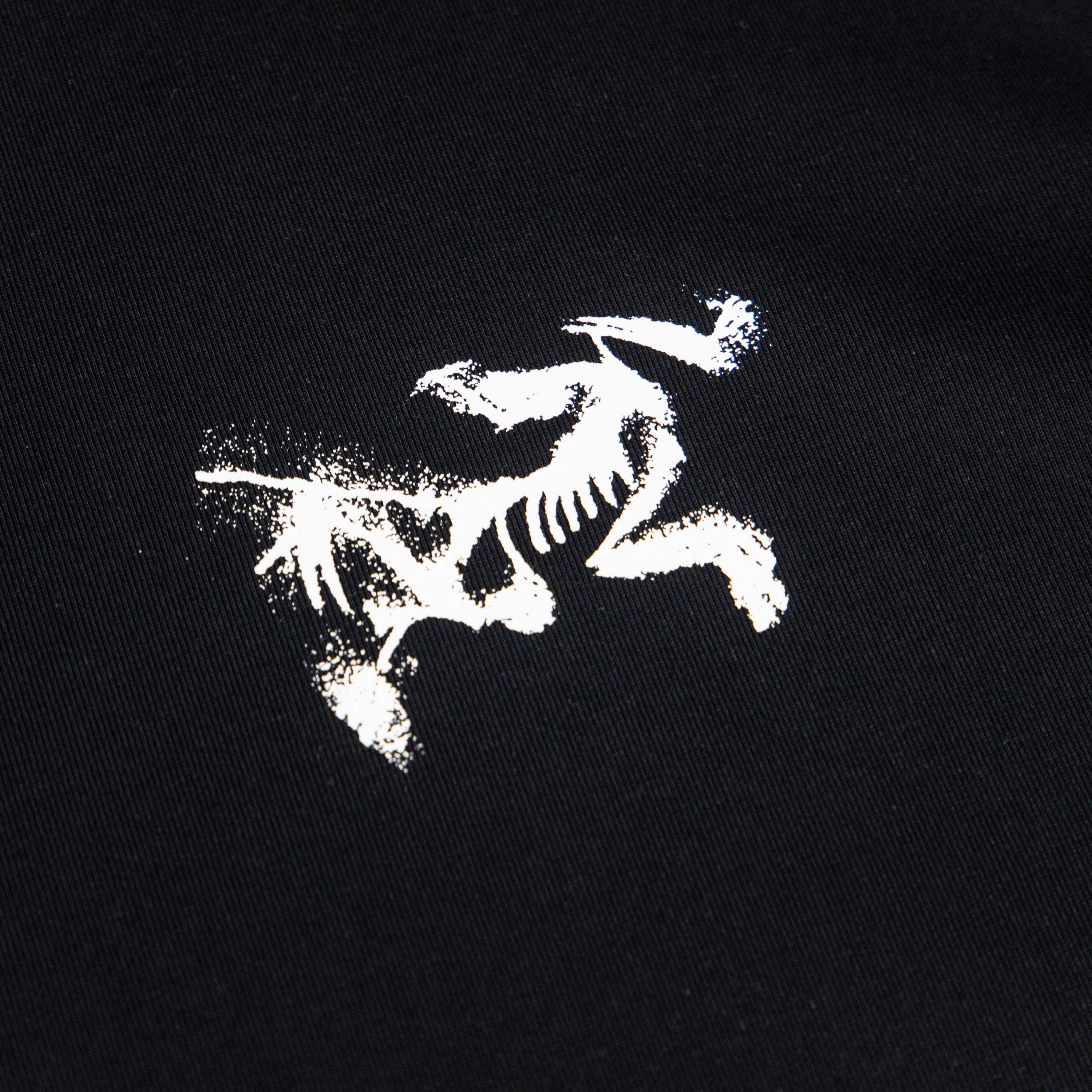 LuxluxHouse Best Quality Clothes T-shirt Arcteryx
