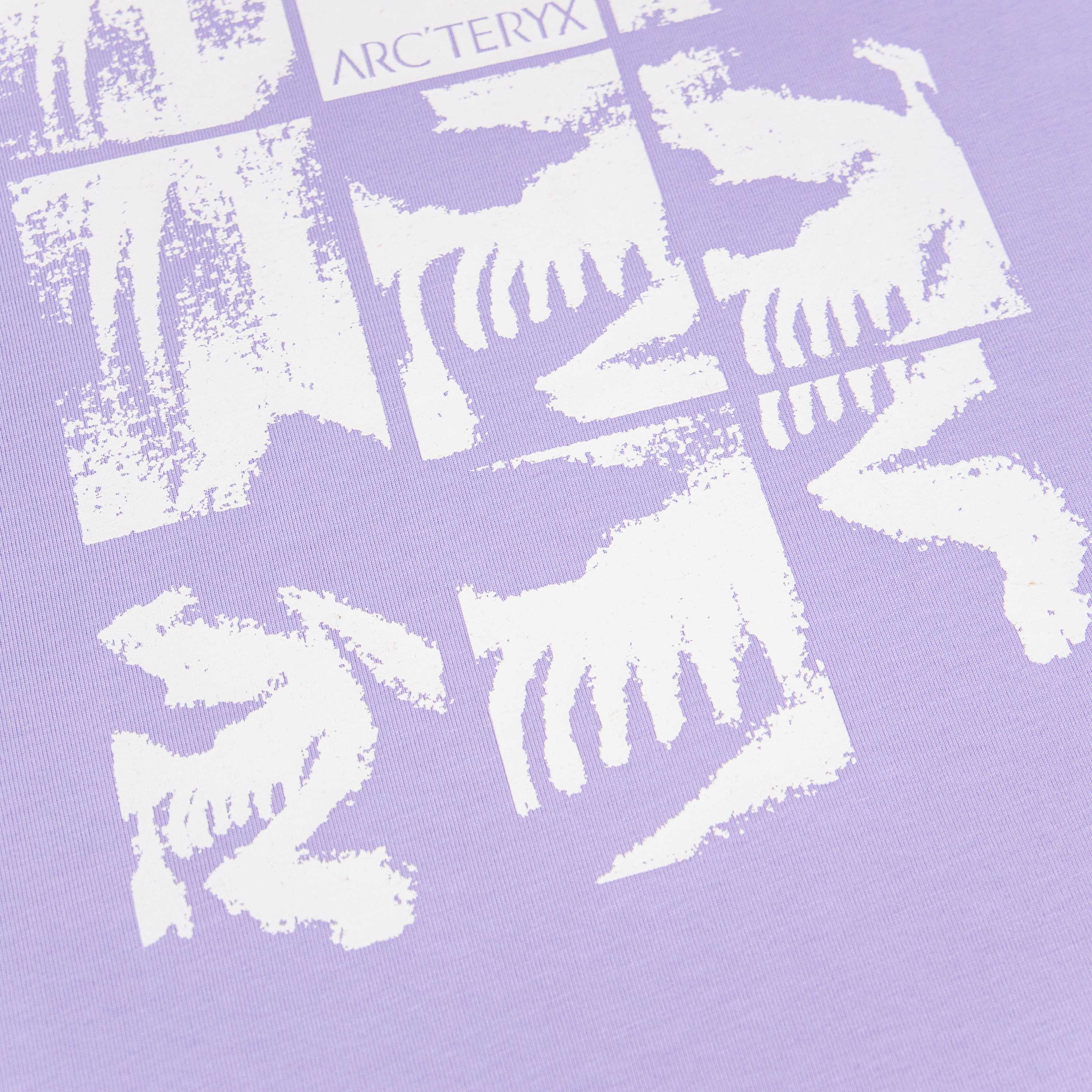 LuxluxHouse Best Quality Clothes T-shirt Arcteryx