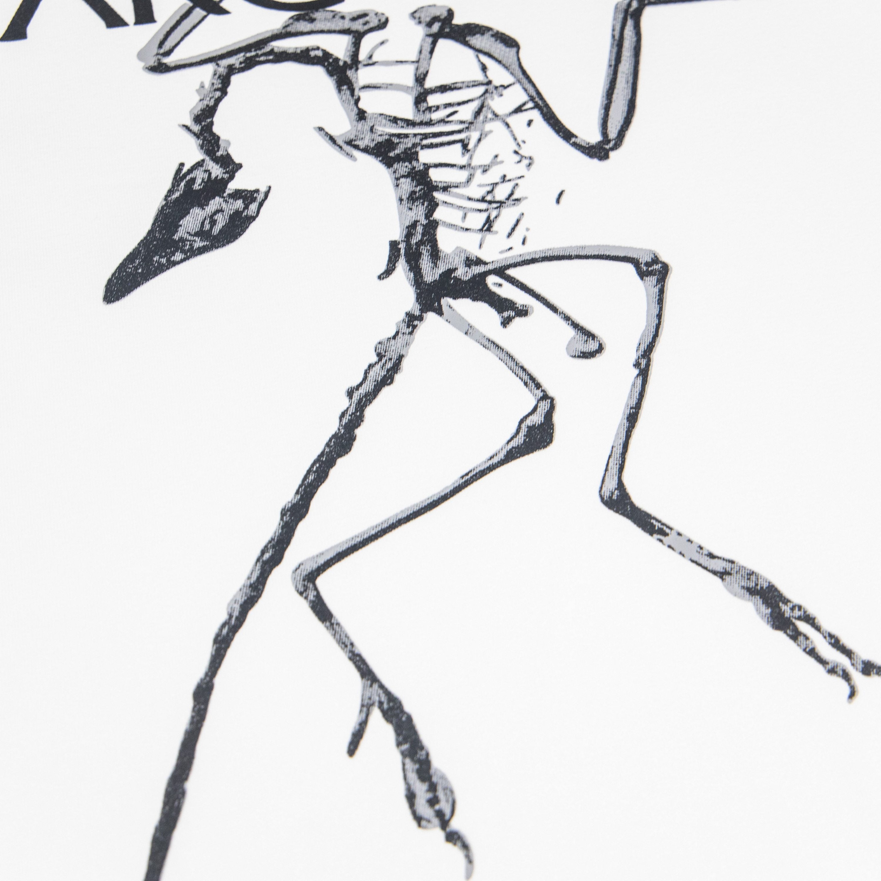 LuxluxHouse Best Quality Clothes T-shirt Arcteryx