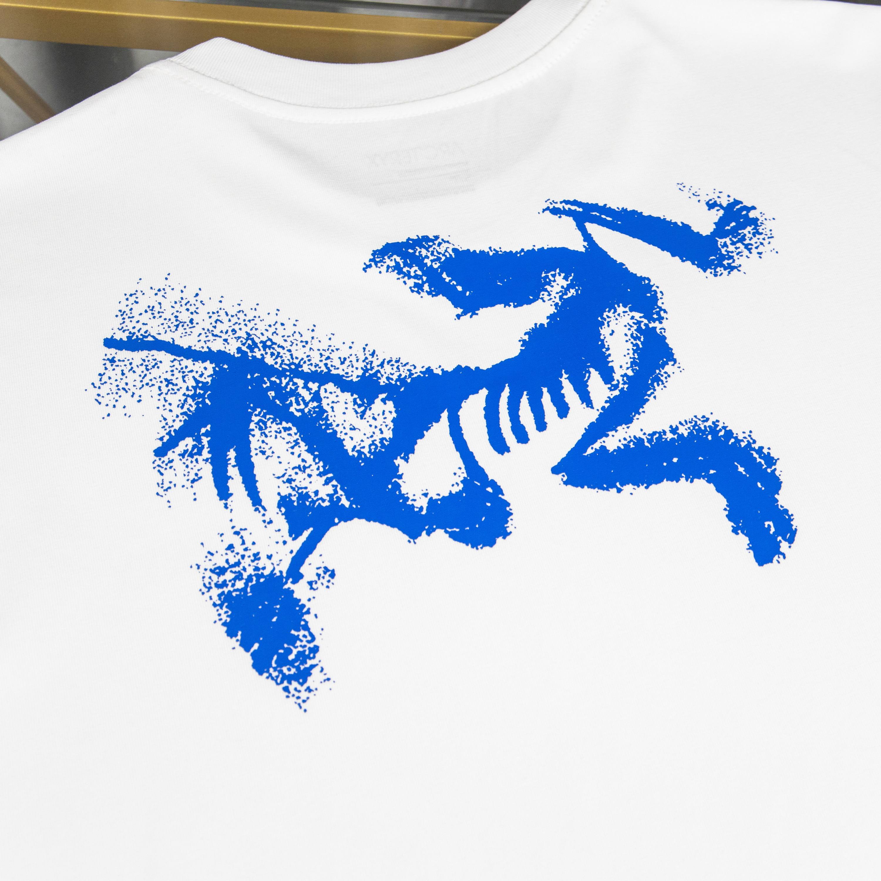 LuxluxHouse Best Quality Clothes T-shirt Arcteryx