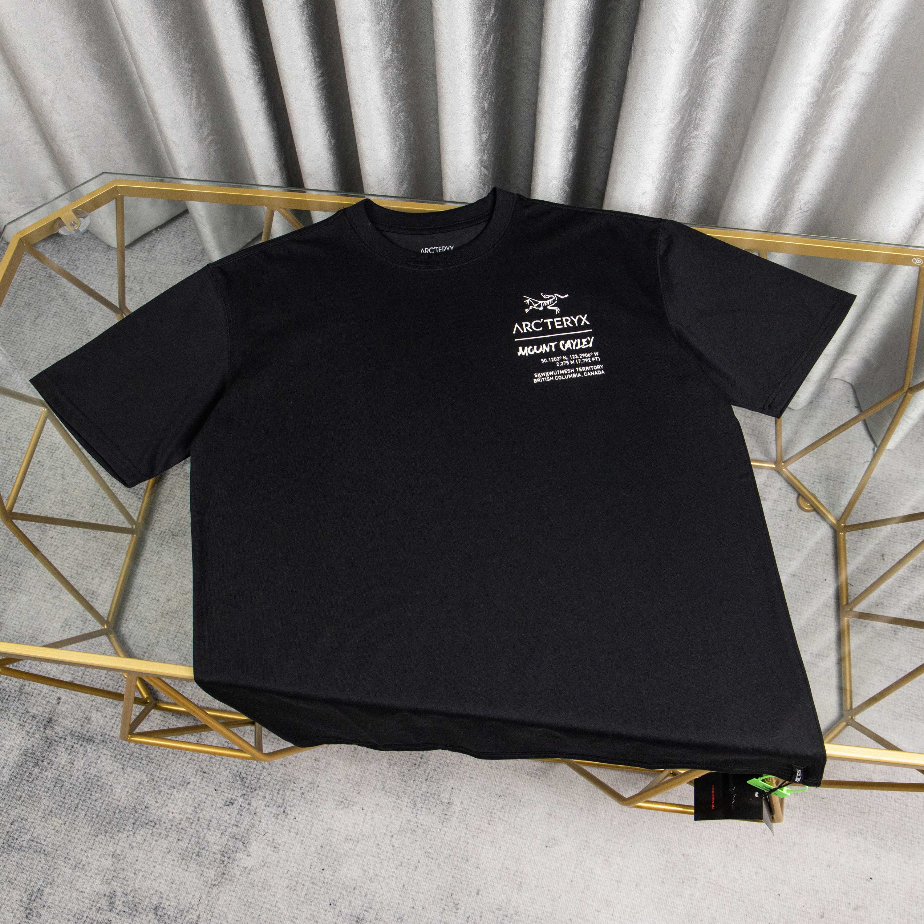 LuxluxHouse Best Quality Clothes T-shirt Arcteryx