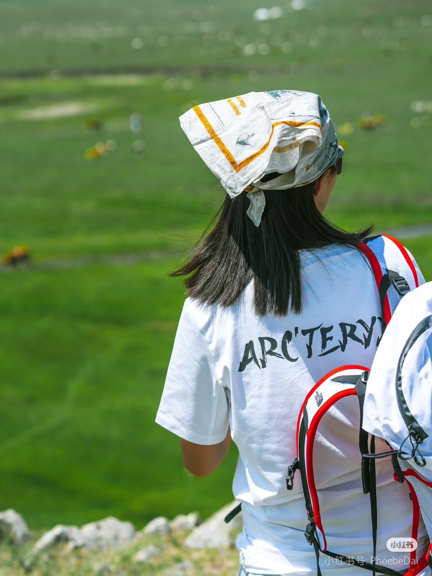 LuxluxHouse Best Quality Clothes T-shirt Arcteryx