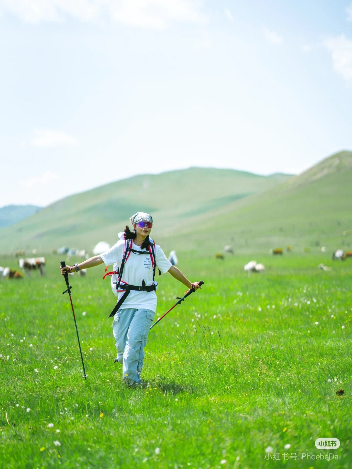 LuxluxHouse Best Quality Clothes T-shirt Arcteryx