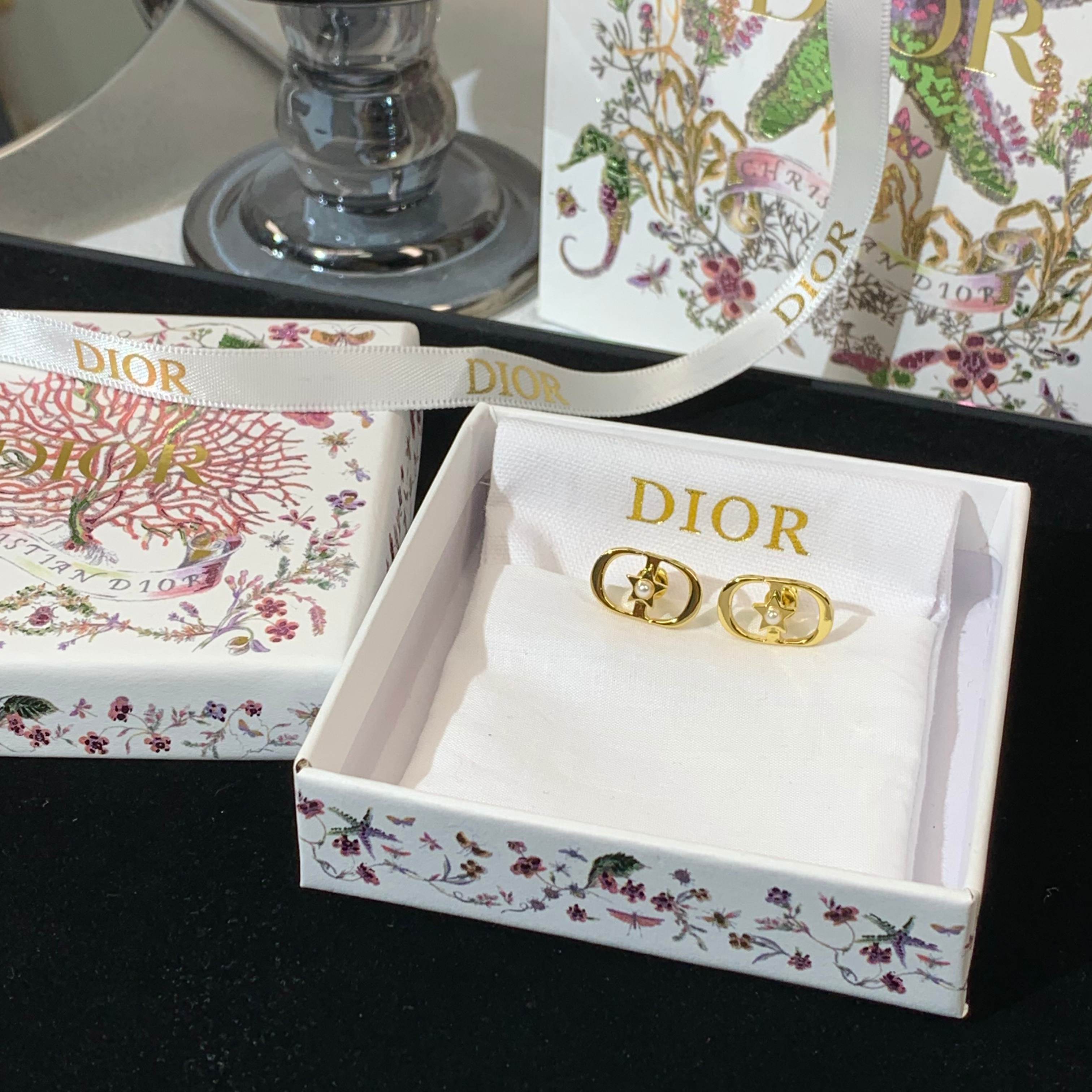 LuxluxHouse Best Quality Accessories Earrings Dior