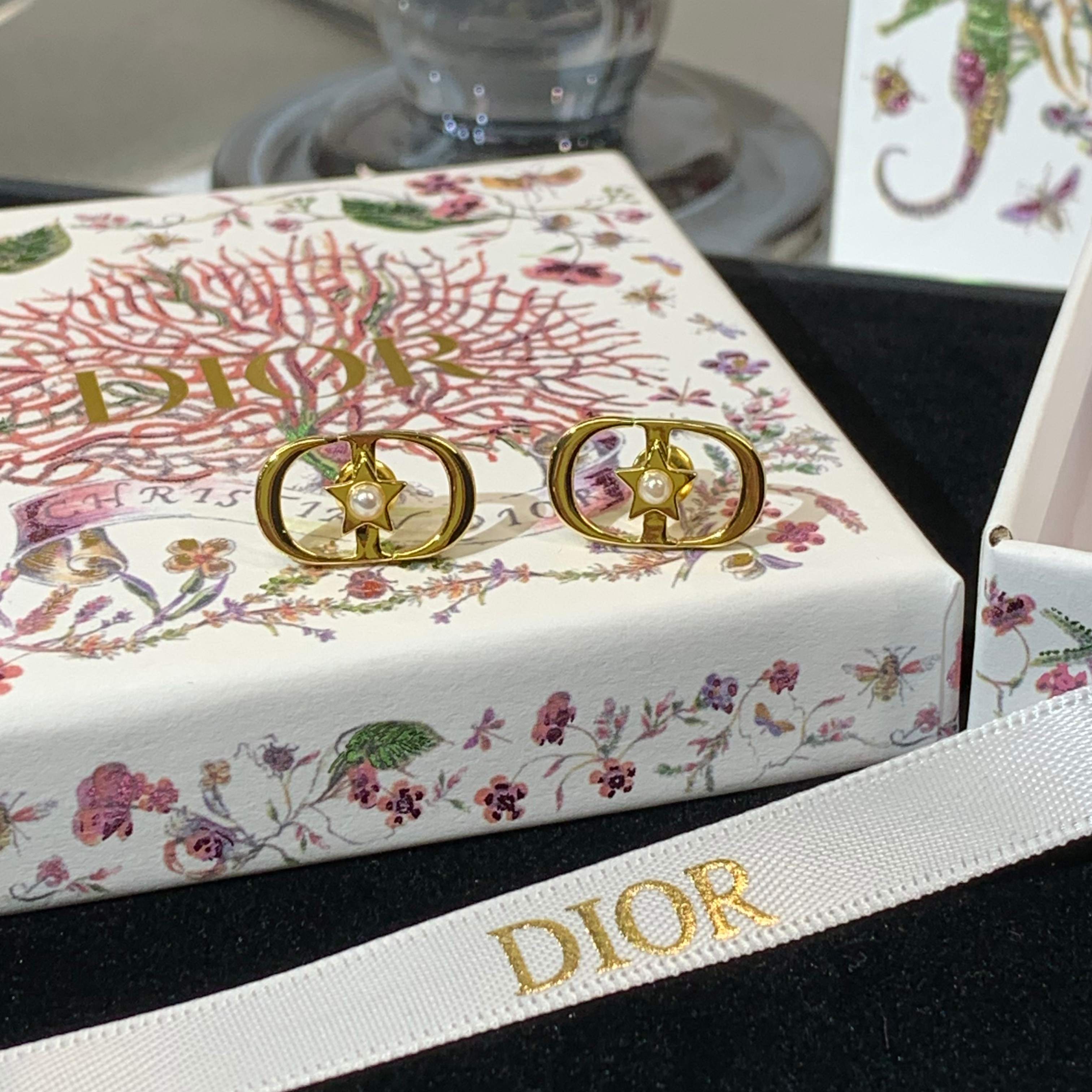 LuxluxHouse Best Quality Accessories Earrings Dior