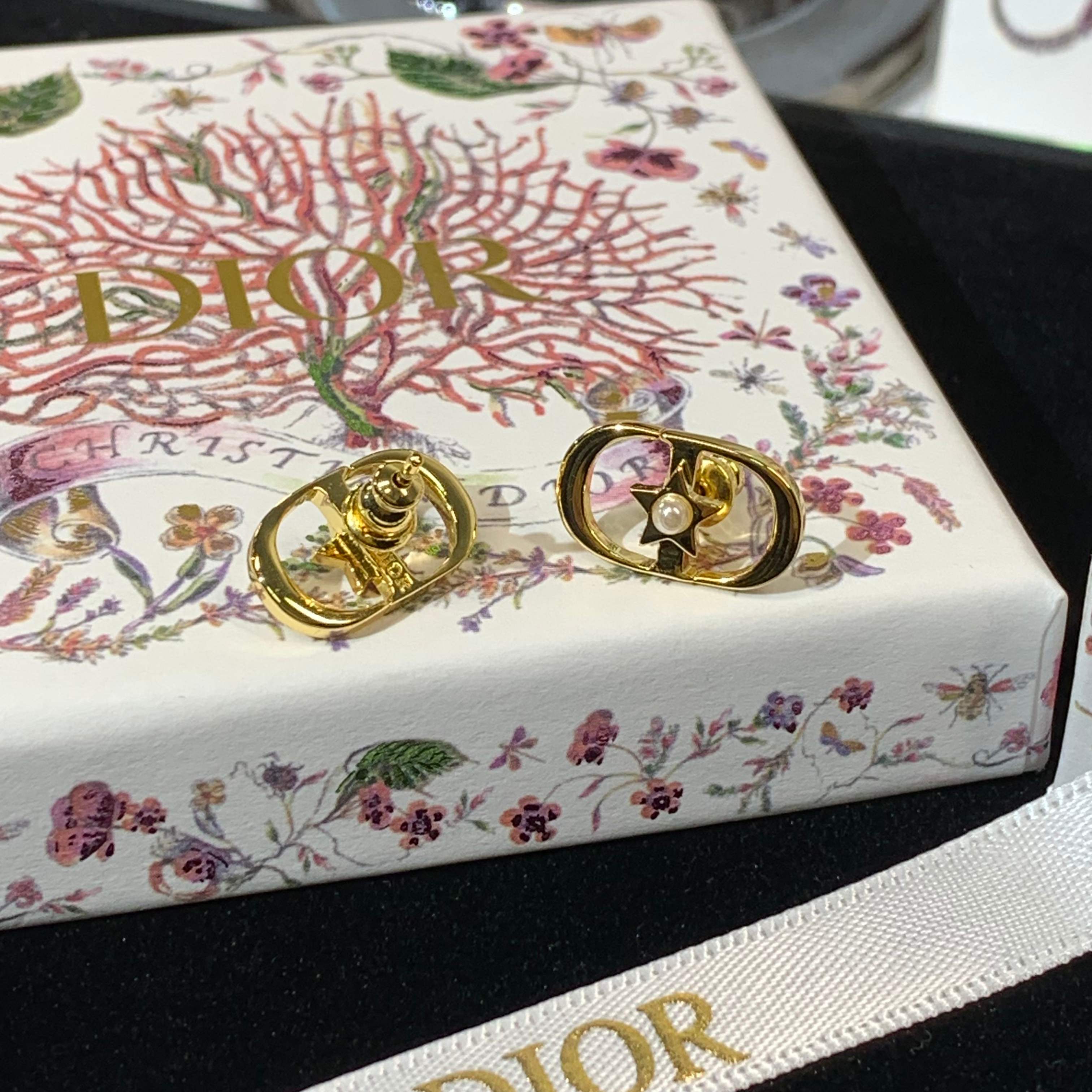 LuxluxHouse Best Quality Accessories Earrings Dior