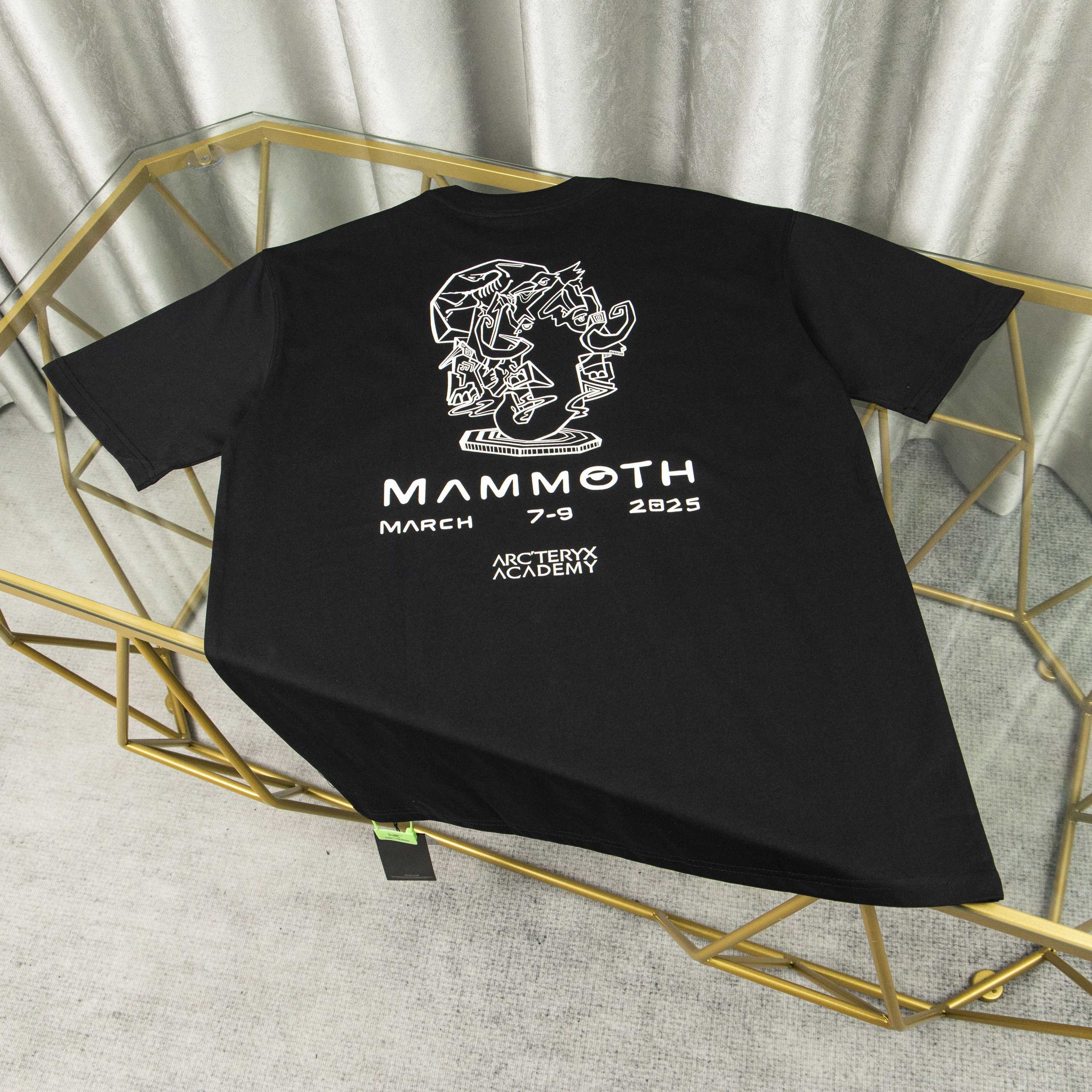 LuxluxHouse Best Quality Clothes T-shirt Arcteryx