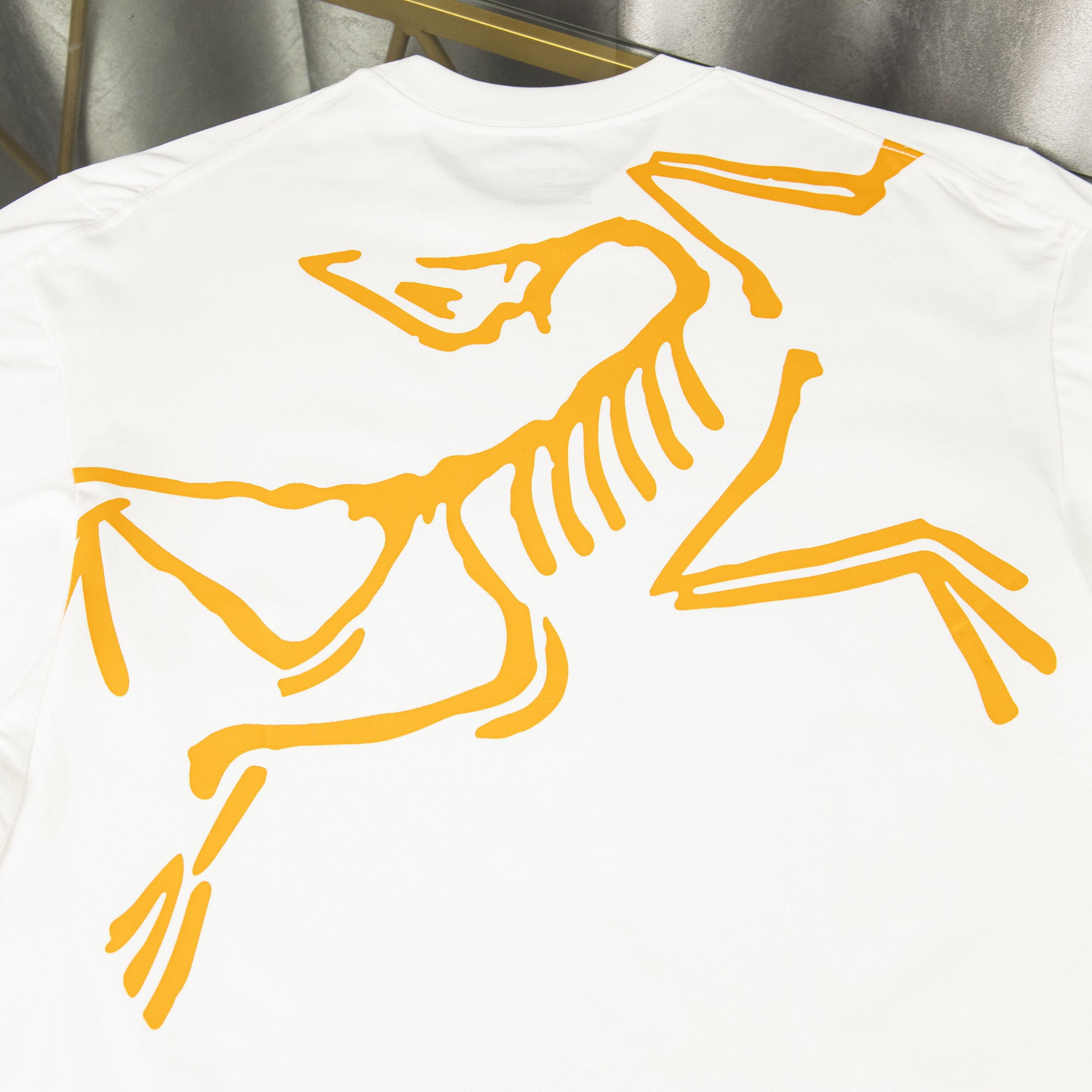 LuxluxHouse Best Quality Clothes T-shirt Arcteryx