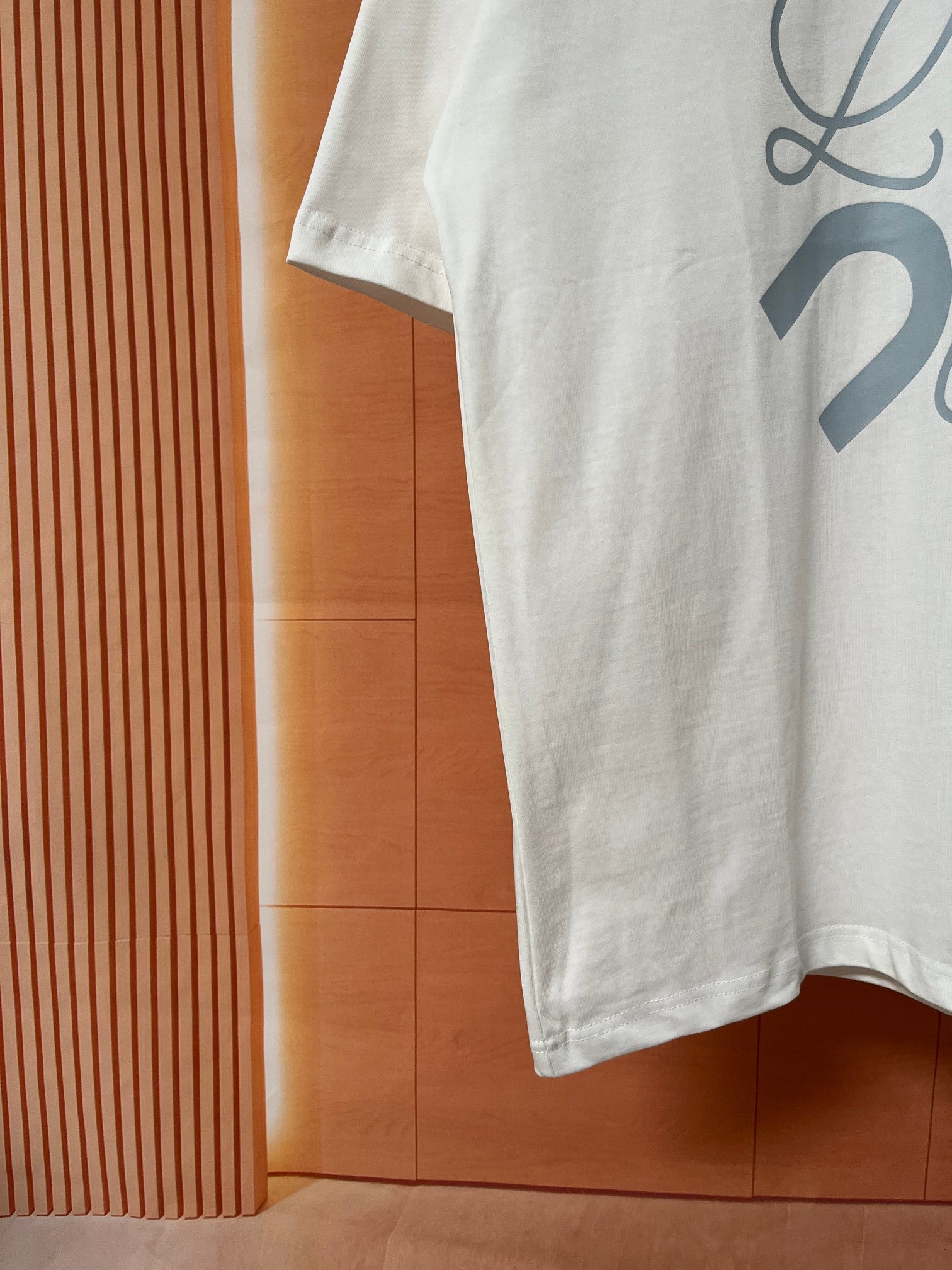 LuxluxHouse Best Quality Clothes T-shirt Loewe