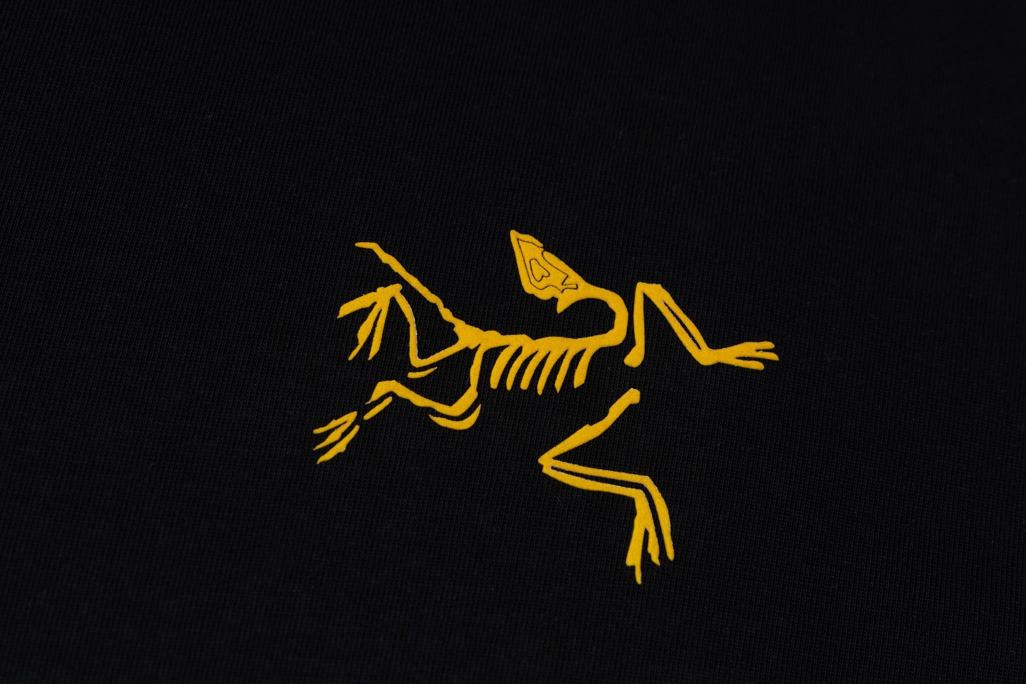 LuxluxHouse Best Quality Clothes T-shirt Arcteryx