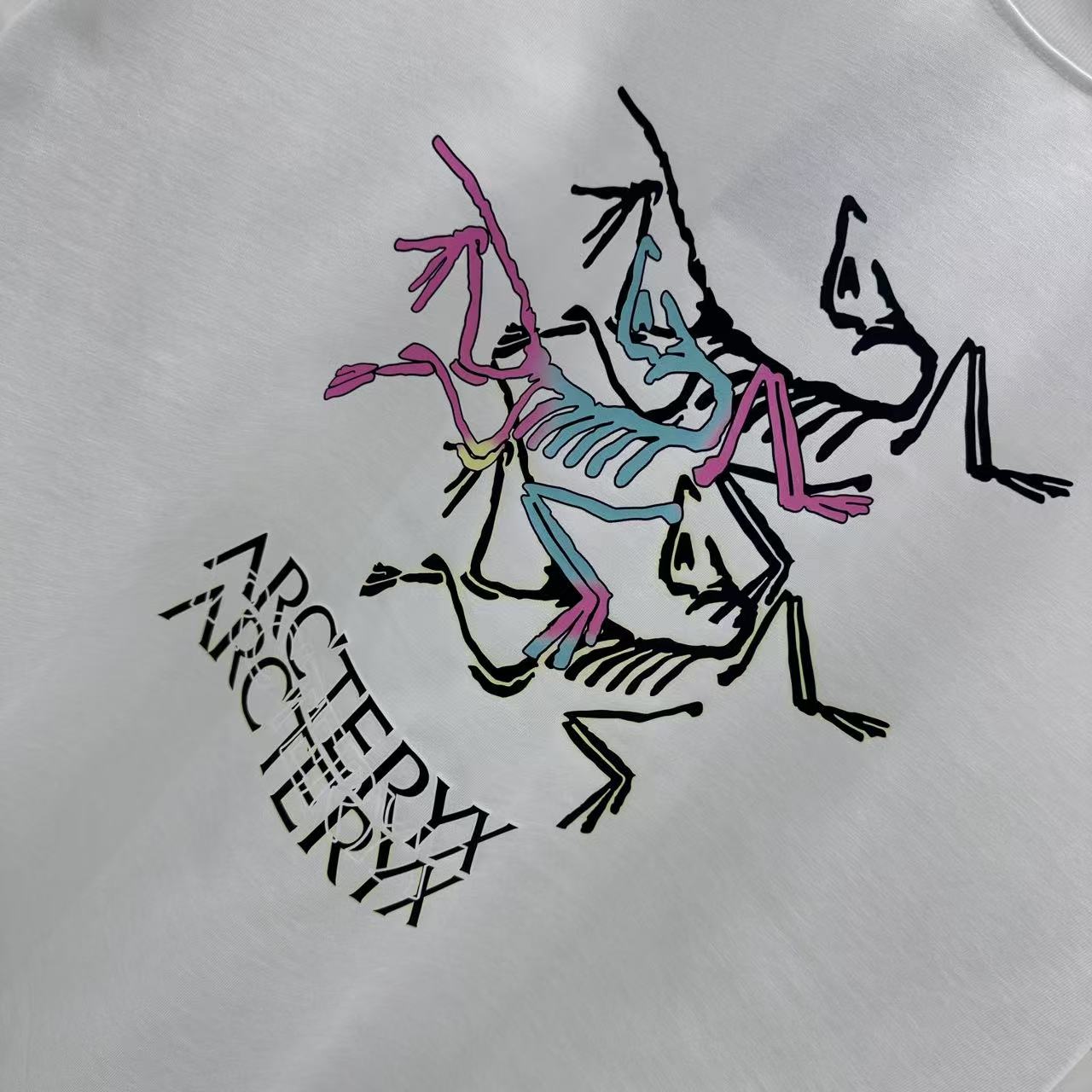 LuxluxHouse Best Quality Clothes T-shirt Arcteryx