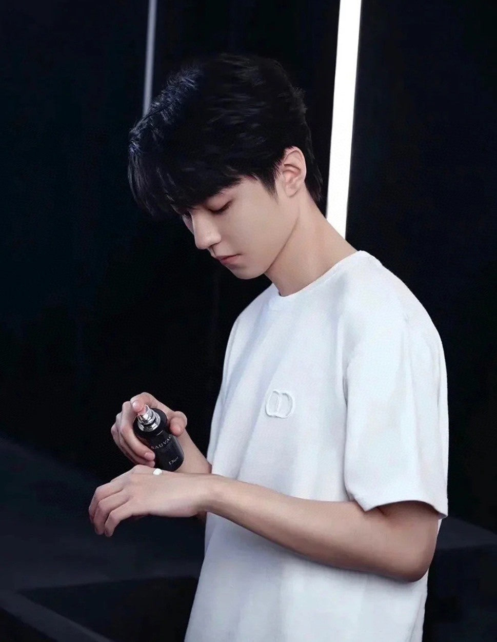 LuxluxHouse Best Quality Clothes T-shirt Dior
