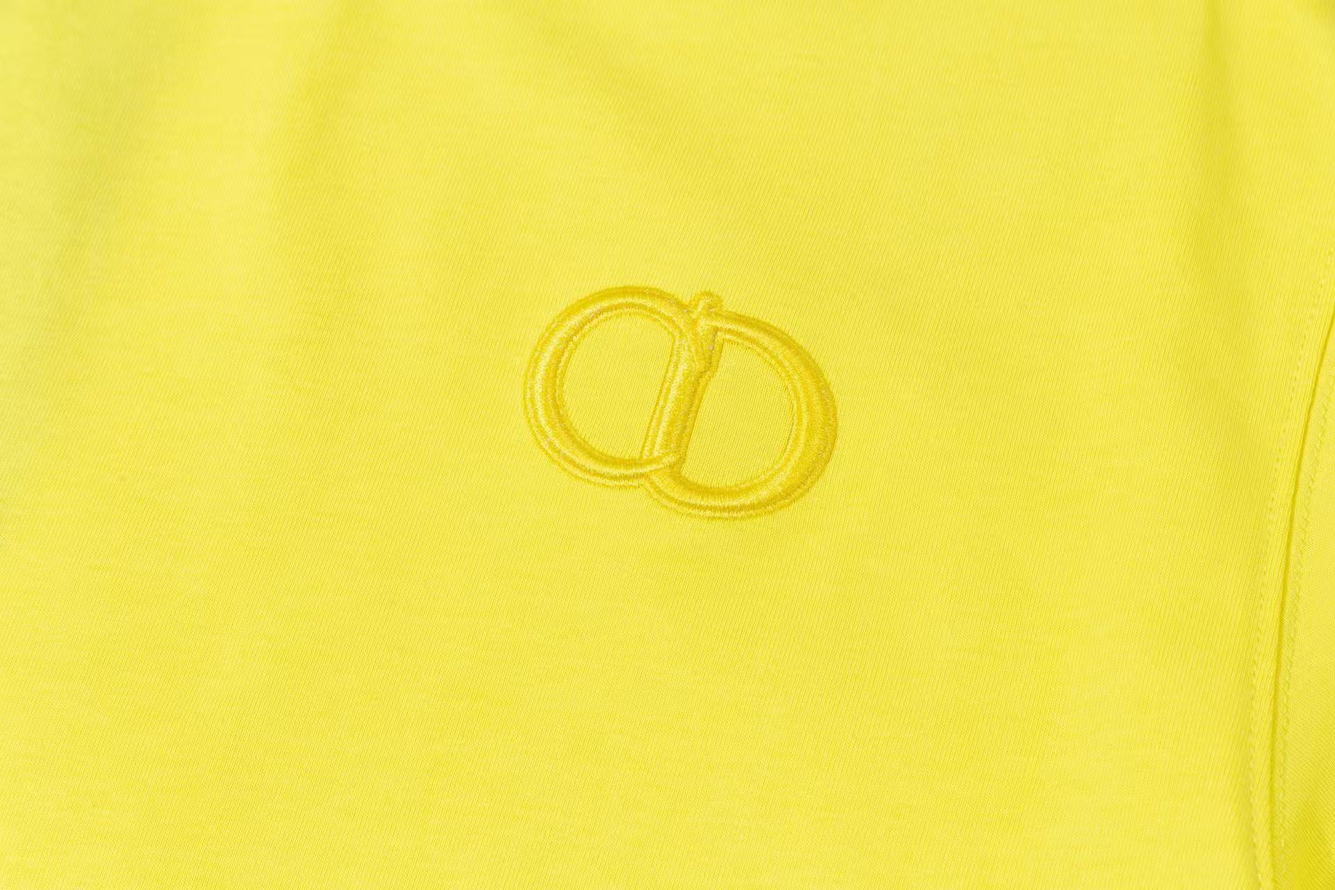 LuxluxHouse Best Quality Clothes T-shirt Dior