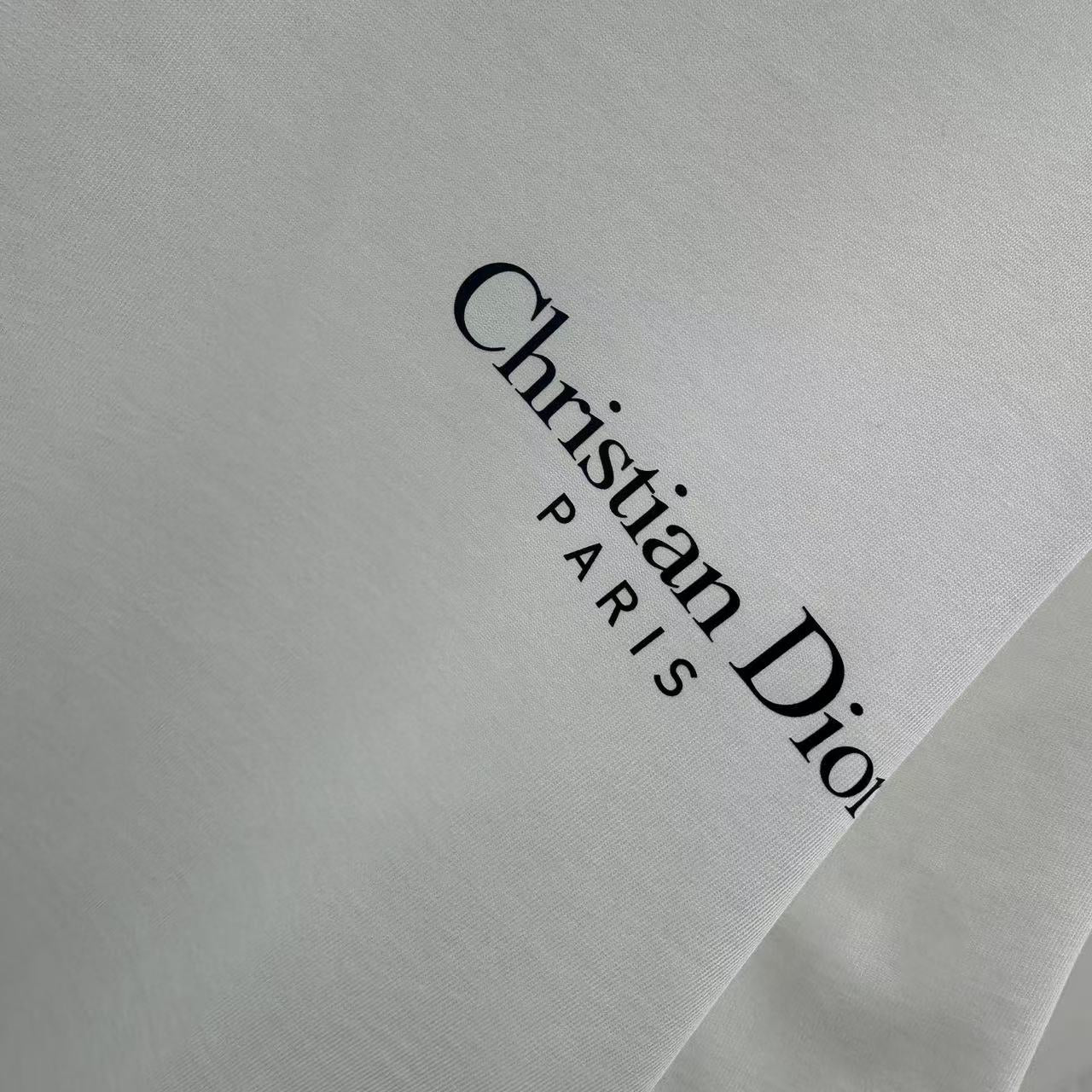 LuxluxHouse Best Quality Clothes T-shirt Dior
