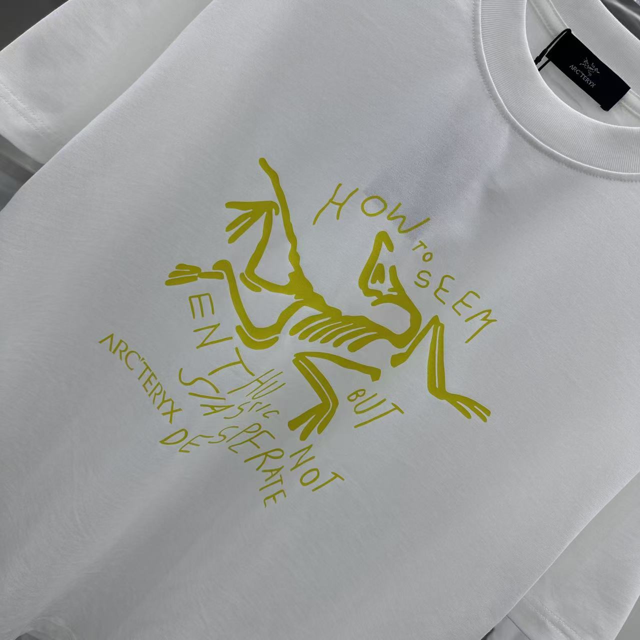 LuxluxHouse Best Quality Clothes T-shirt Arcteryx