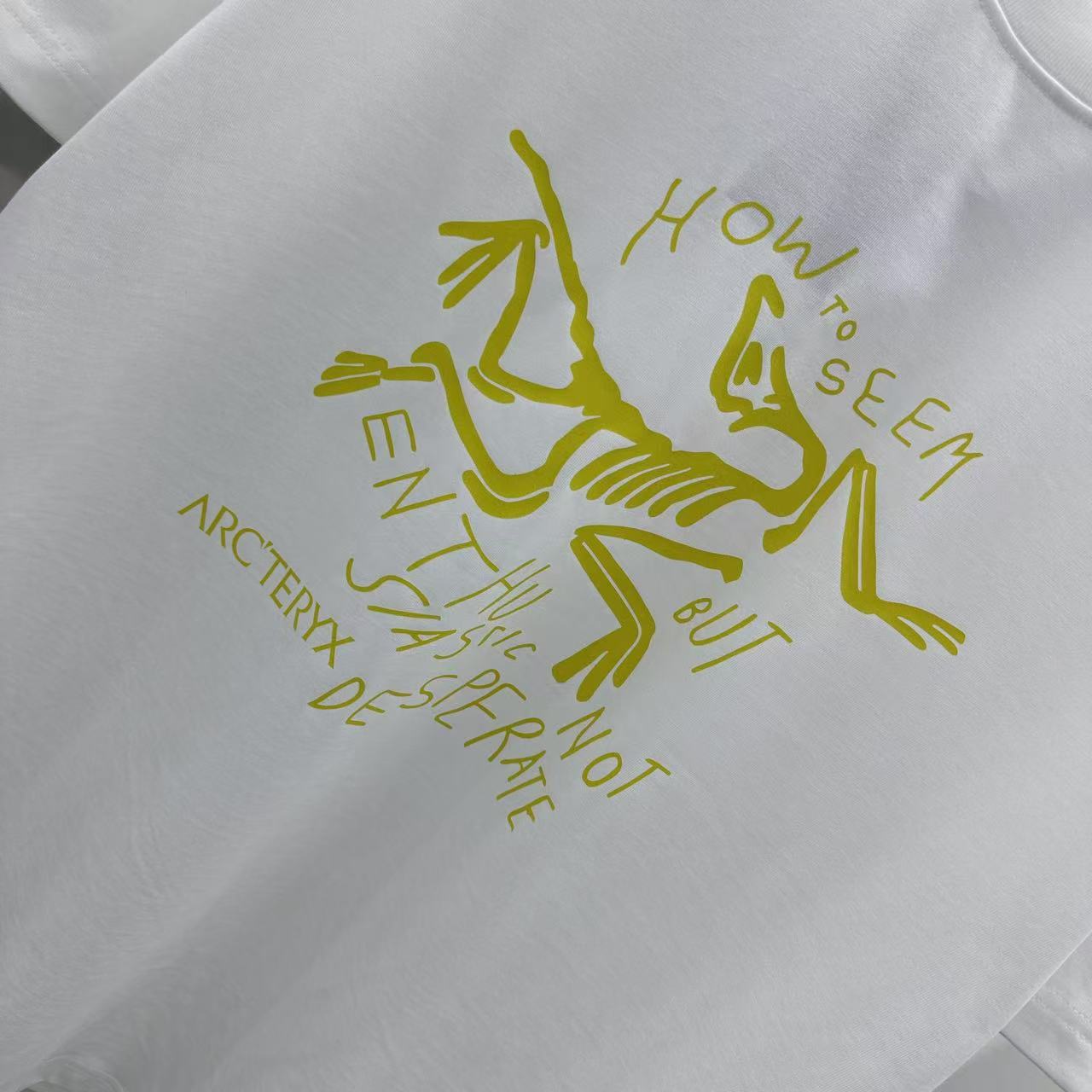 LuxluxHouse Best Quality Clothes T-shirt Arcteryx