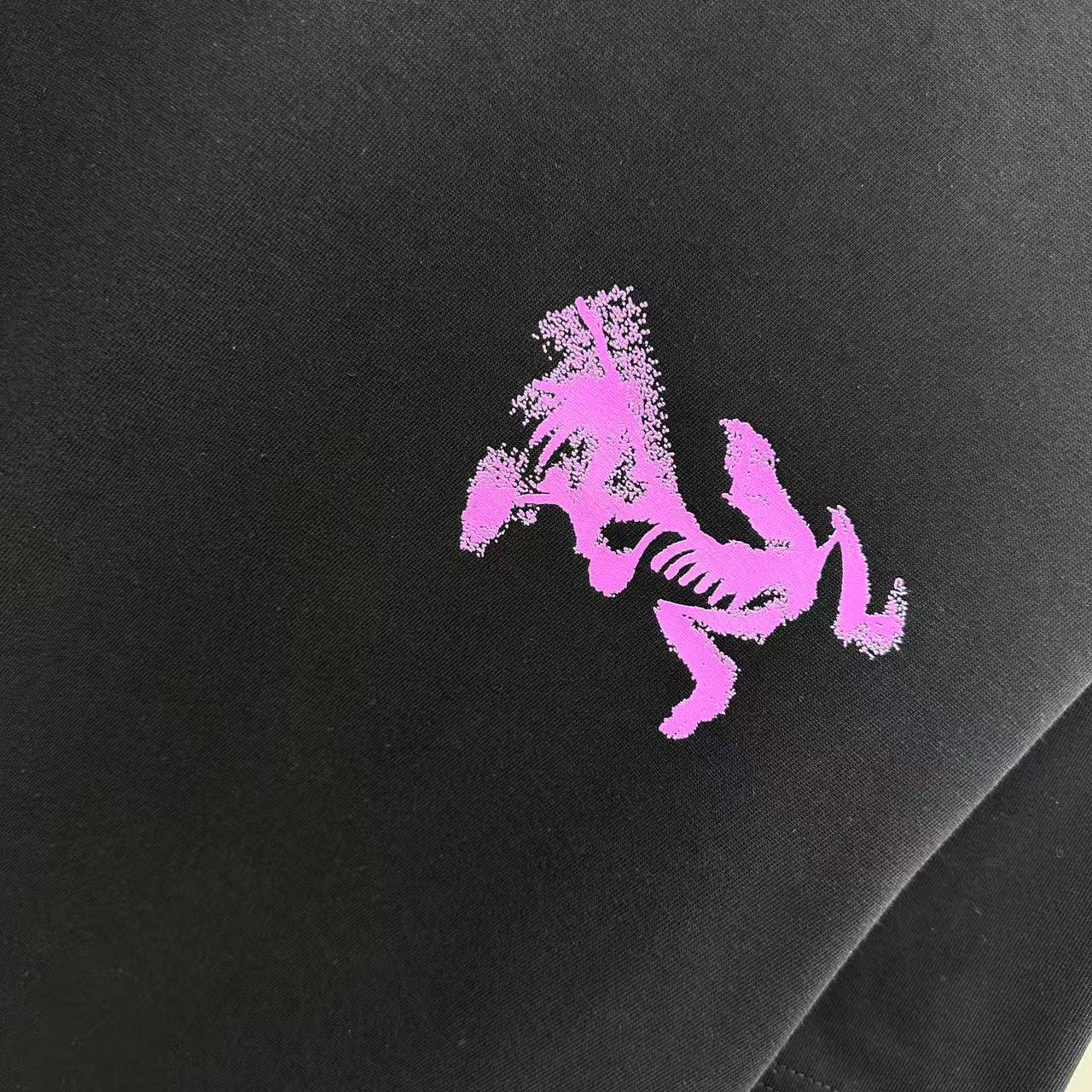 LuxluxHouse Best Quality Clothes T-shirt Arcteryx