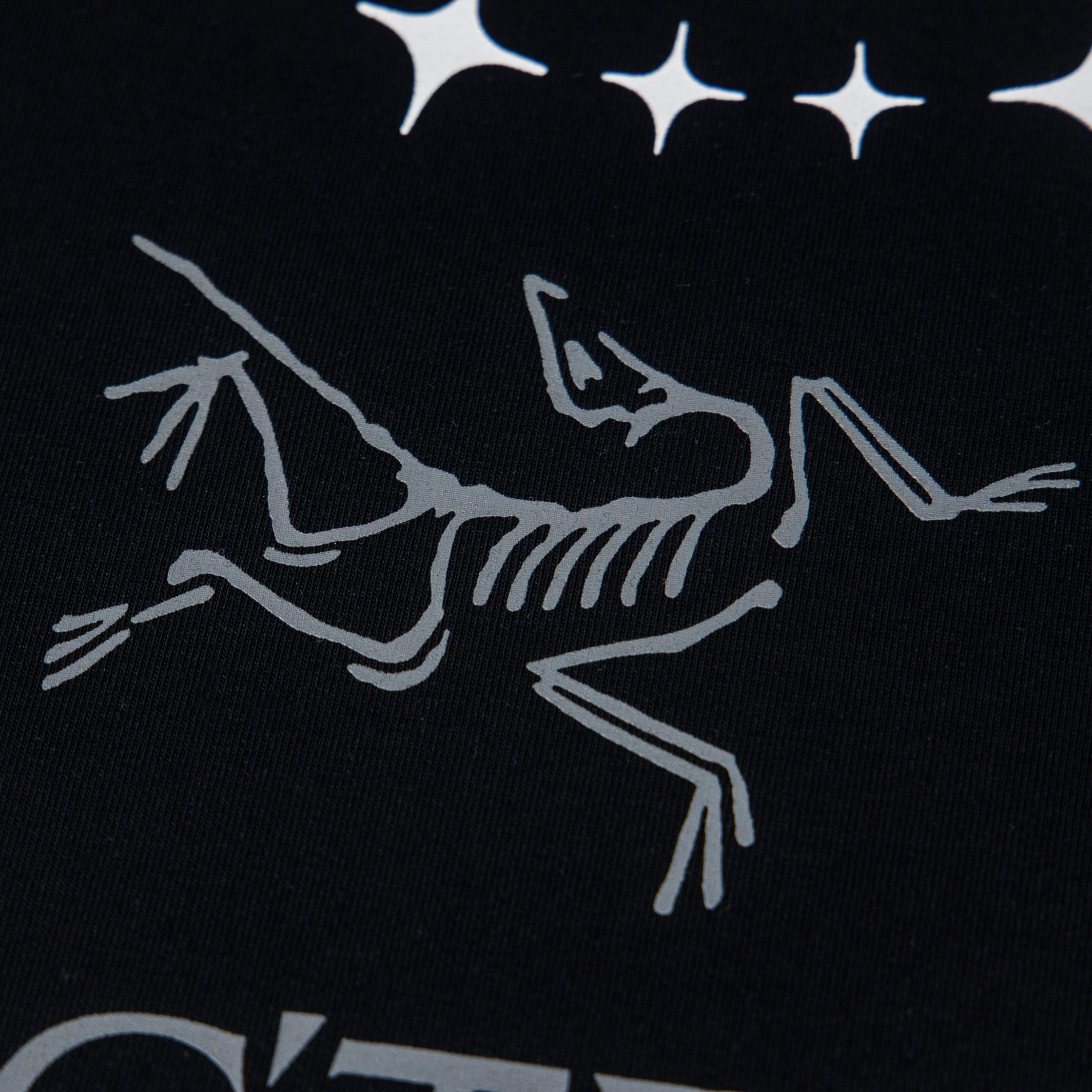 LuxluxHouse Best Quality Clothes T-shirt Arcteryx