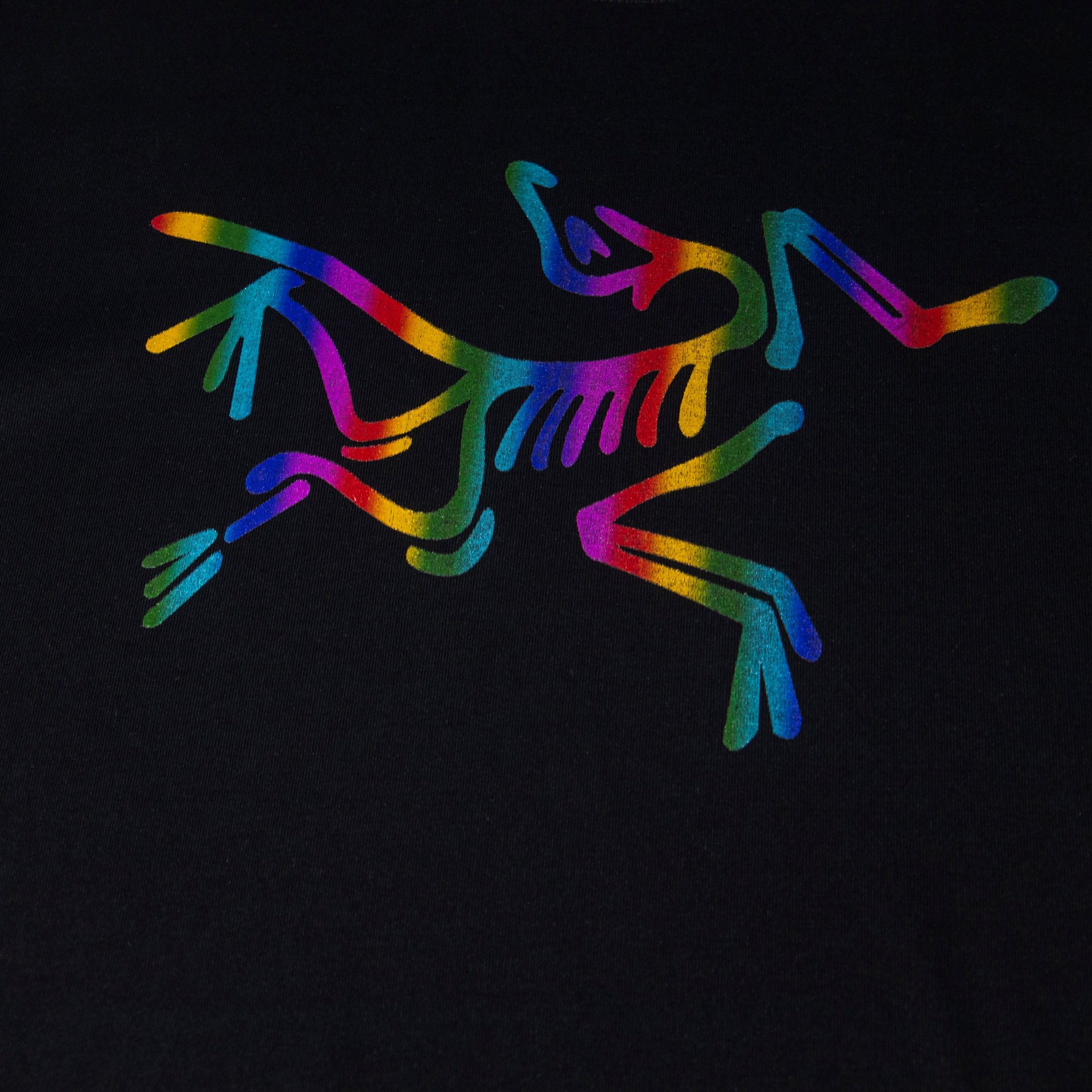 LuxluxHouse Best Quality Clothes T-shirt Arcteryx