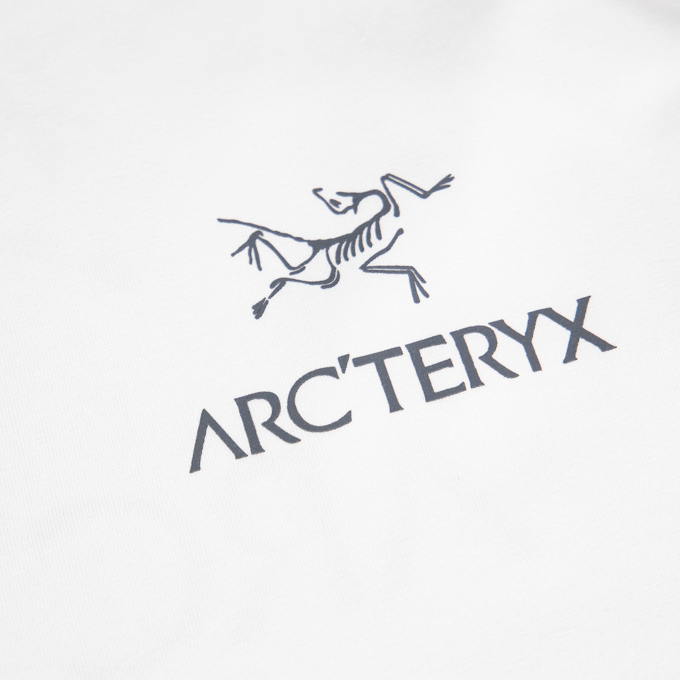 LuxluxHouse Best Quality Clothes T-shirt Arcteryx