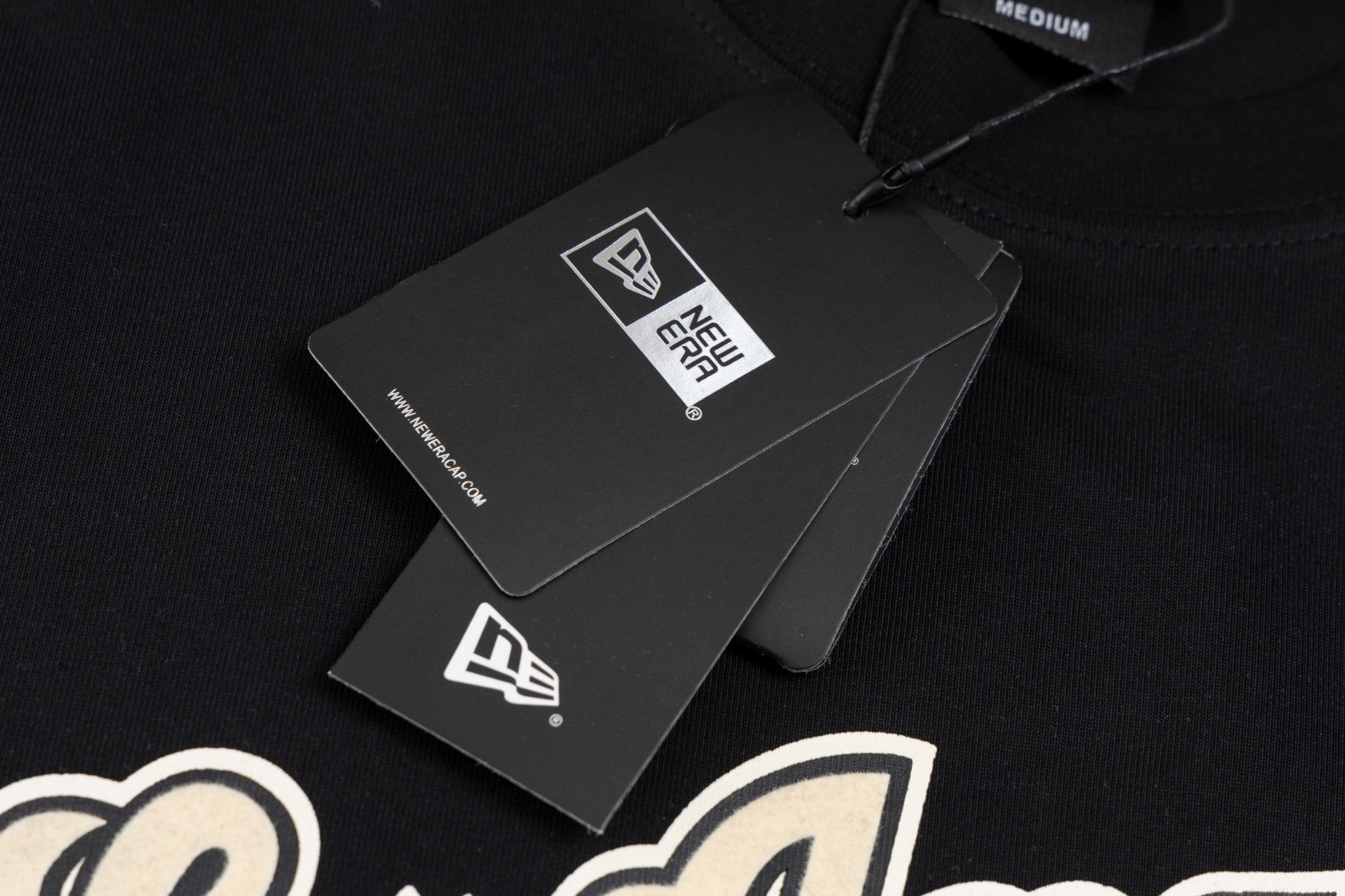 LuxluxHouse Best Quality Clothes The North Face & MLB T-shirt