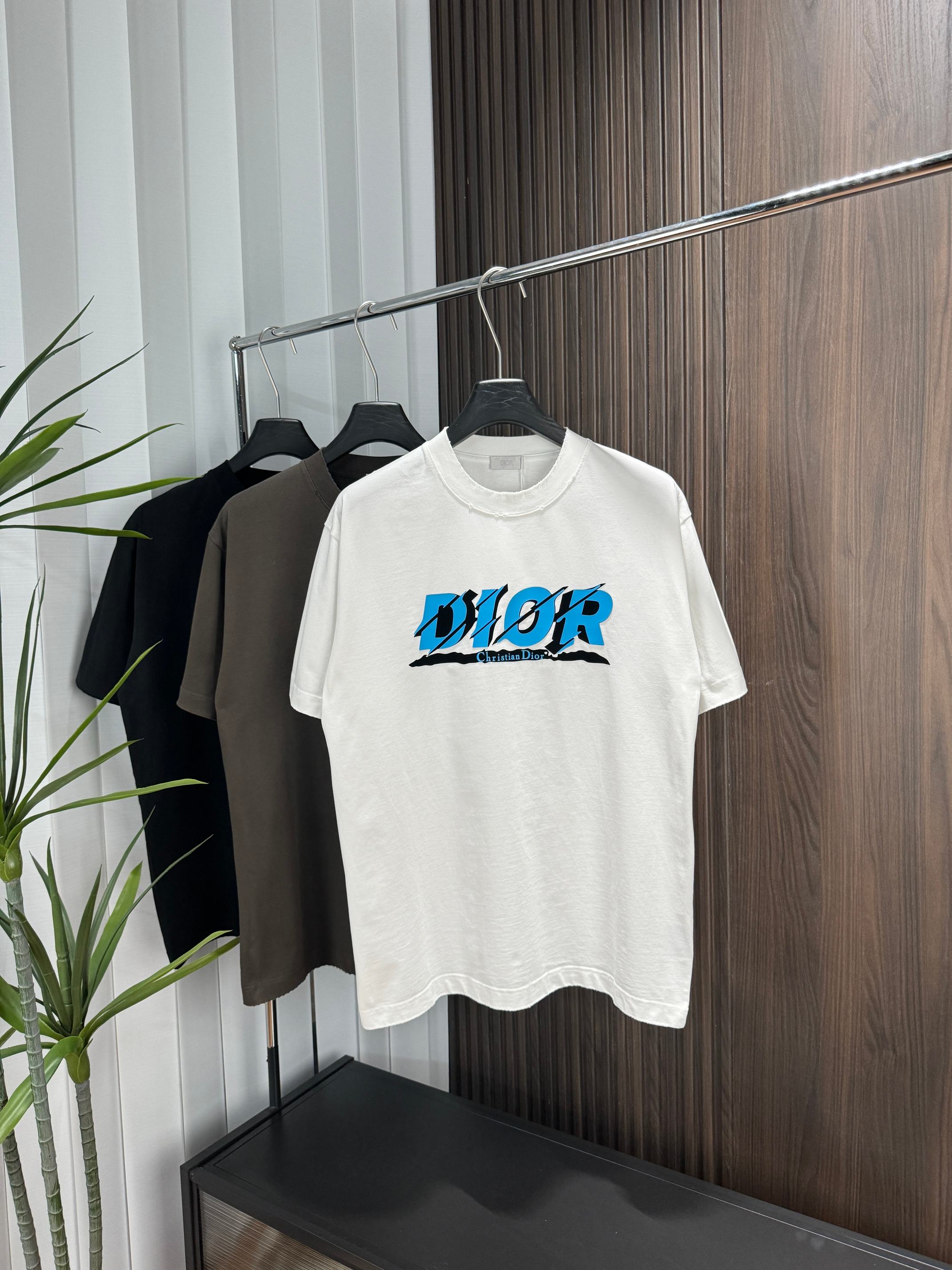 LuxluxHouse Best Quality Clothes T-shirt Dior