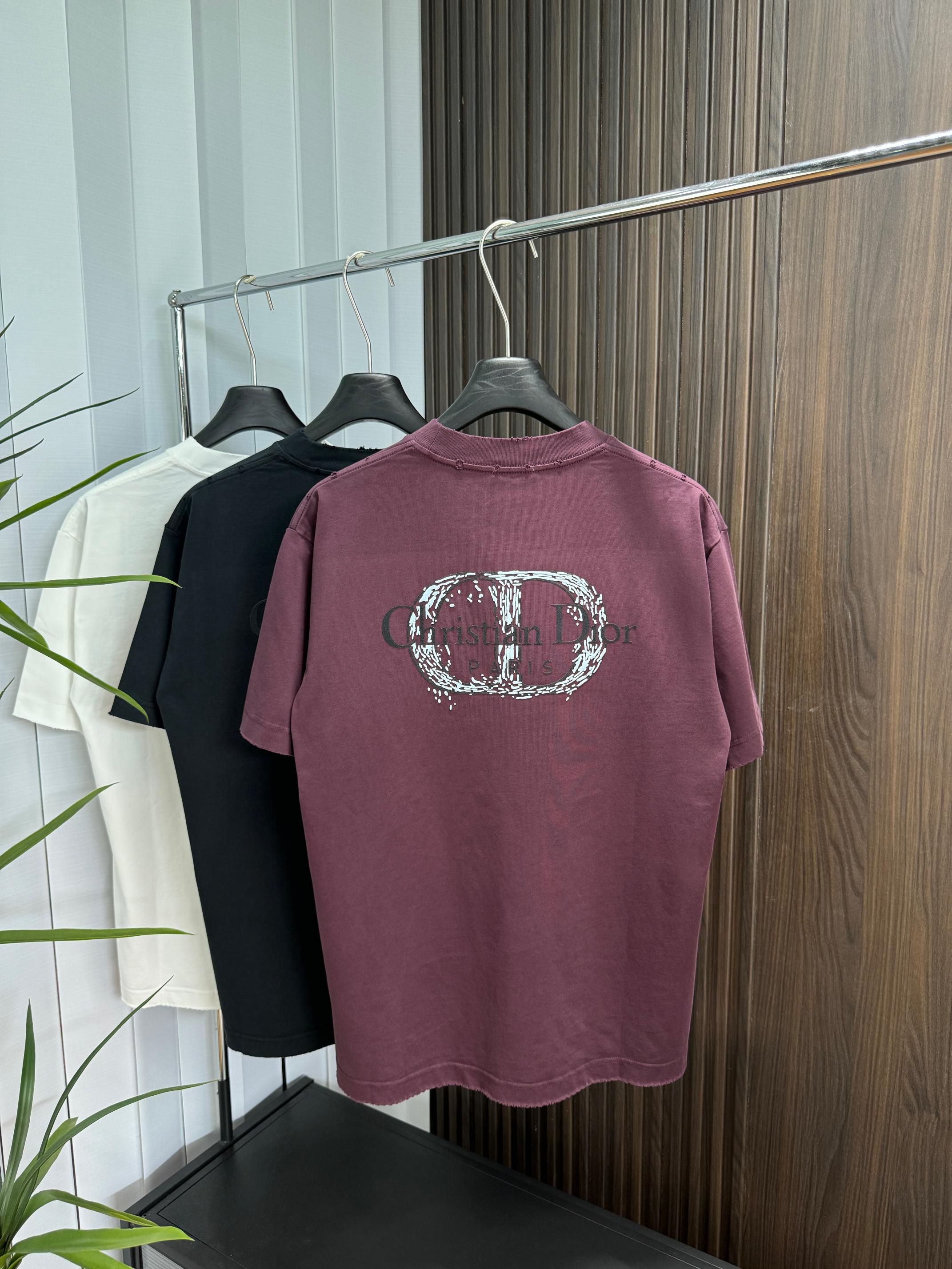 LuxluxHouse Best Quality Clothes T-shirt Dior