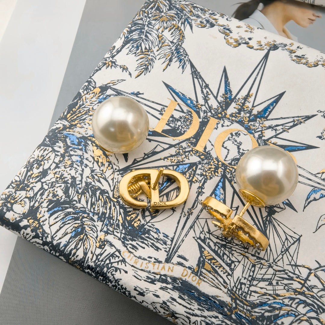 LuxluxHouse Best Quality Accessories Earrings Dior
