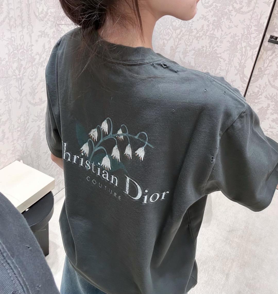 LuxluxHouse Best Quality Clothes T-shirt Dior