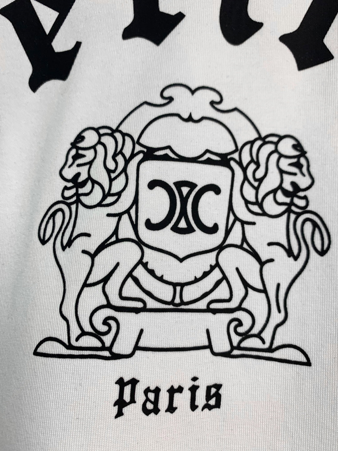 LuxluxHouse Best Quality Clothes T-shirt Celine