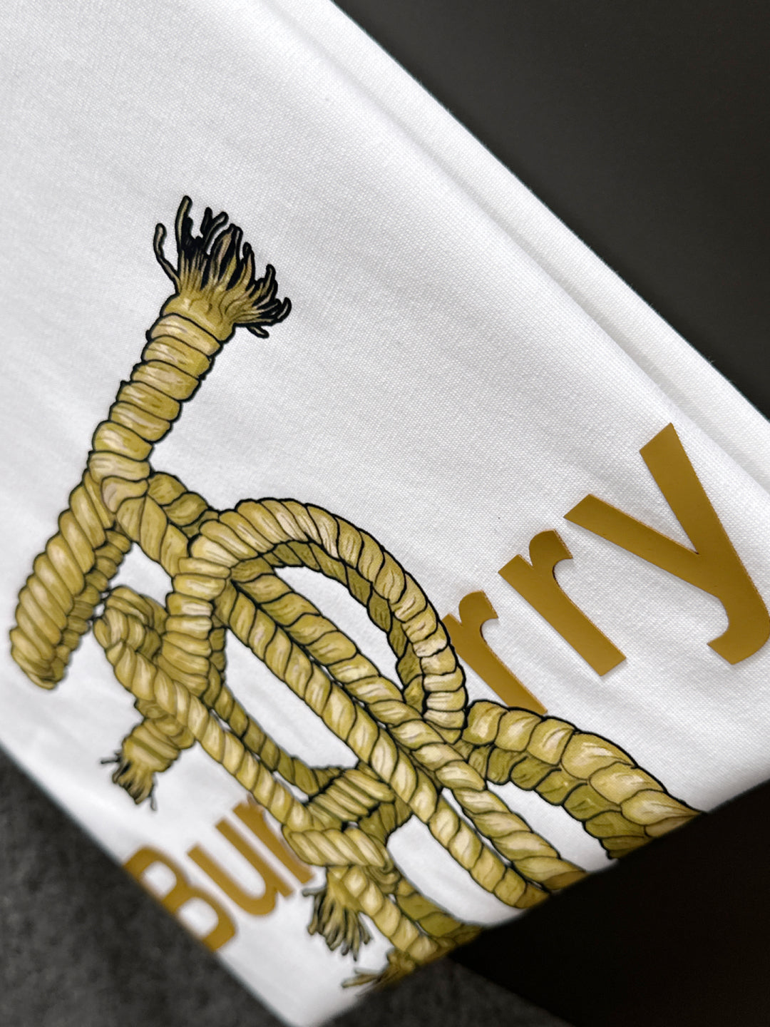 LuxluxHouse Best Quality Clothes Burberry T-shirt