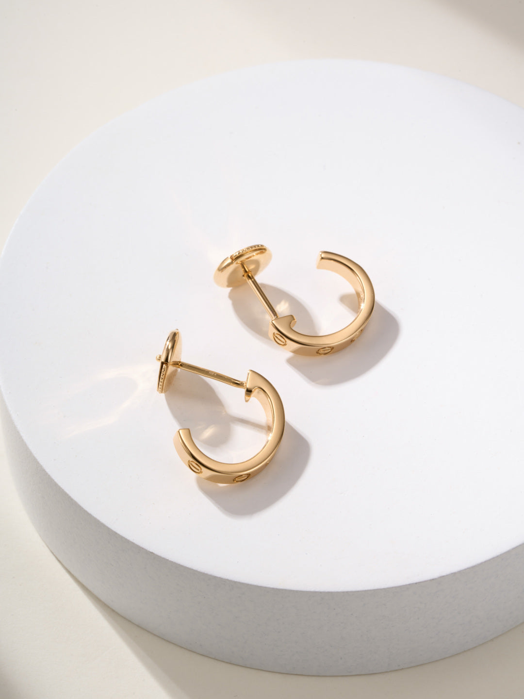 LuxluxHouse Best Quality Accessories Earrings Cartier