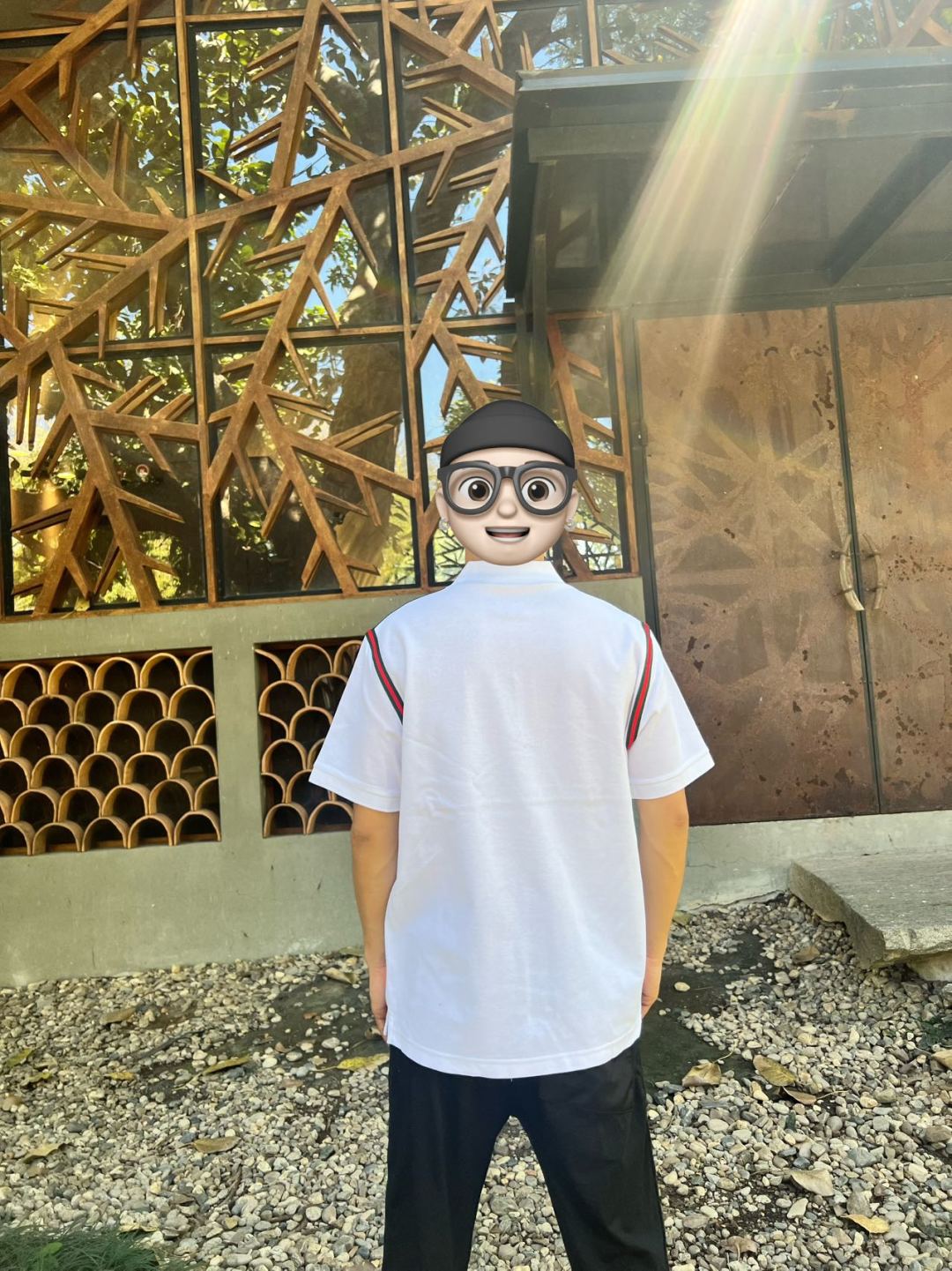 LuxluxHouse Best Quality Clothes Shirts&Polo Gucci