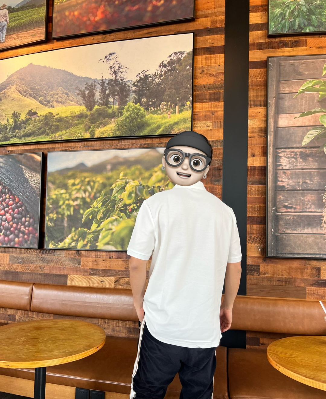 LuxluxHouse Best Quality Clothes Shirts&Polo Moncler