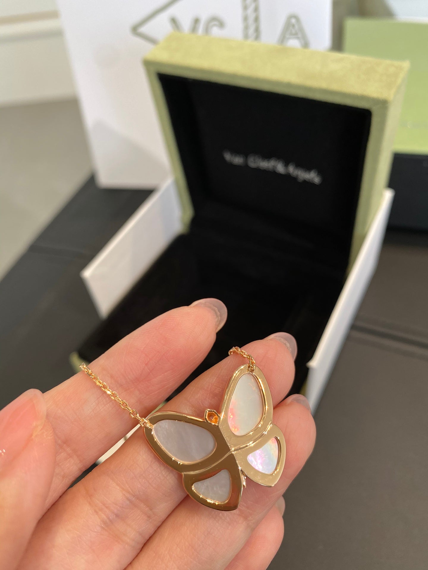 LuxluxHouse Best Quality Accessories Van Cleef & Arpels Necklace