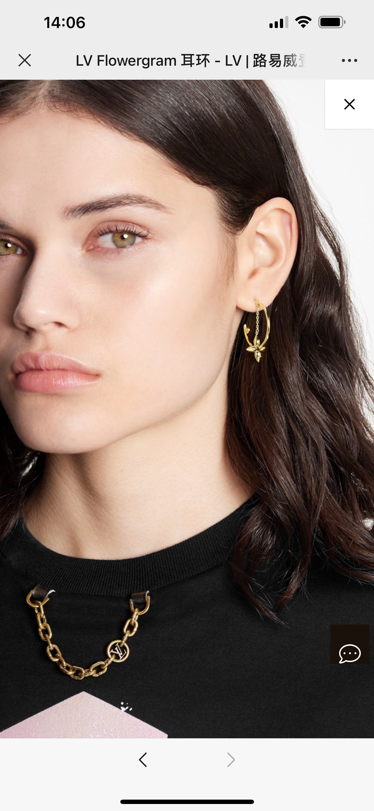 LuxluxHouse Best Quality Accessories Earrings Earrings Louis Vuitton